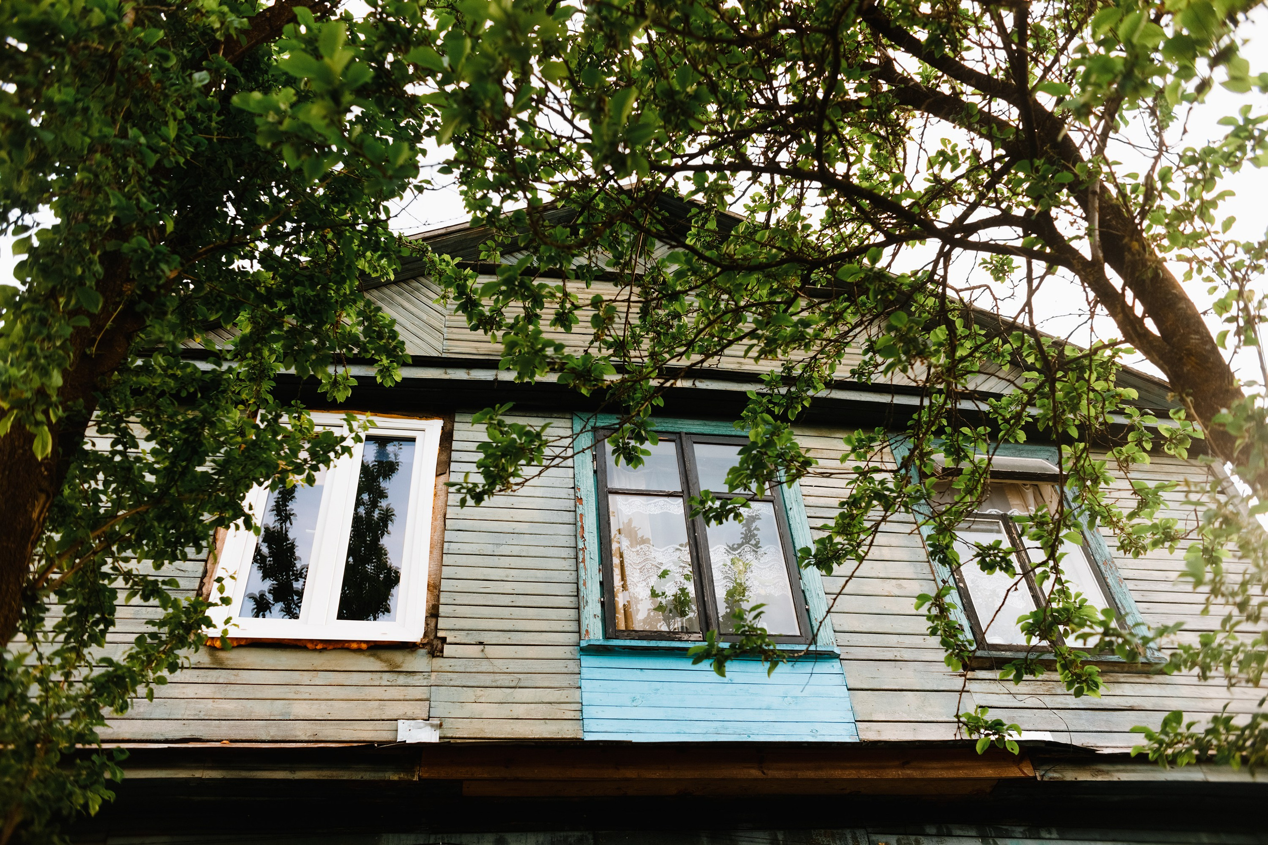 Grodno. Kaja | fotograf we Wrocławiu | ludzie i psy