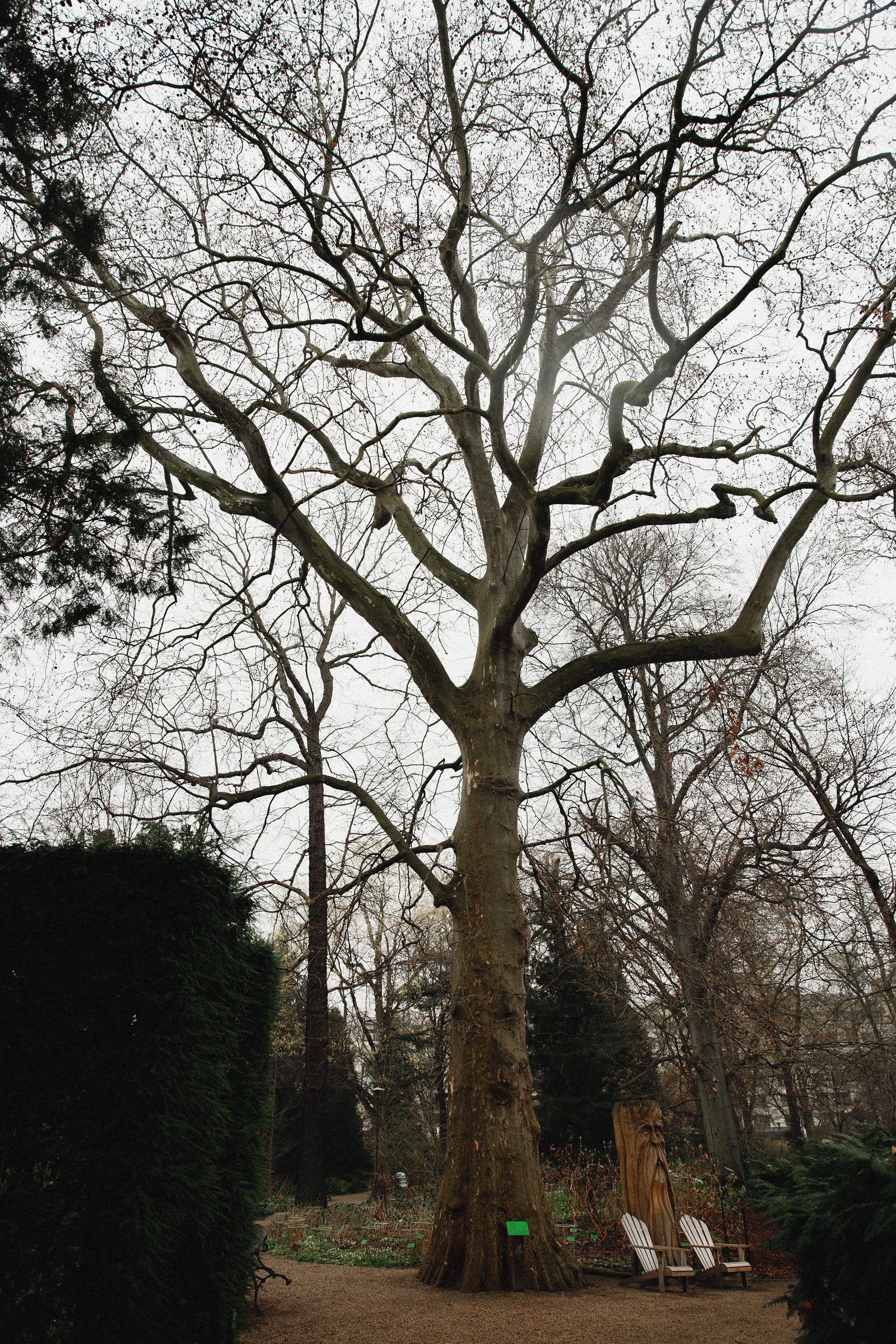 Botanical garden in Wroclaw. Kaja | fotograf we Wrocławiu | ludzie i psy