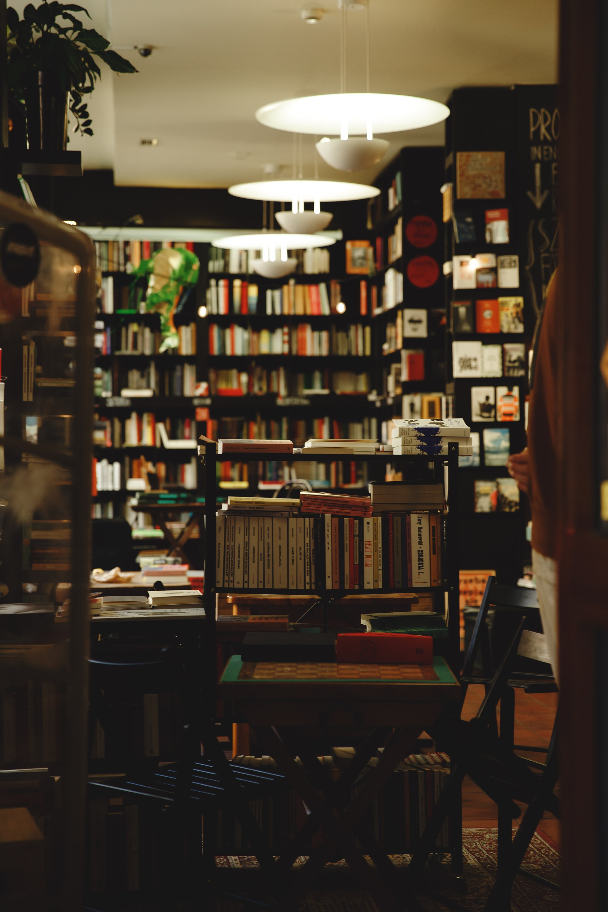 Wroclaw | the best ones. Kaja | fotograf psów we Wrocławiu