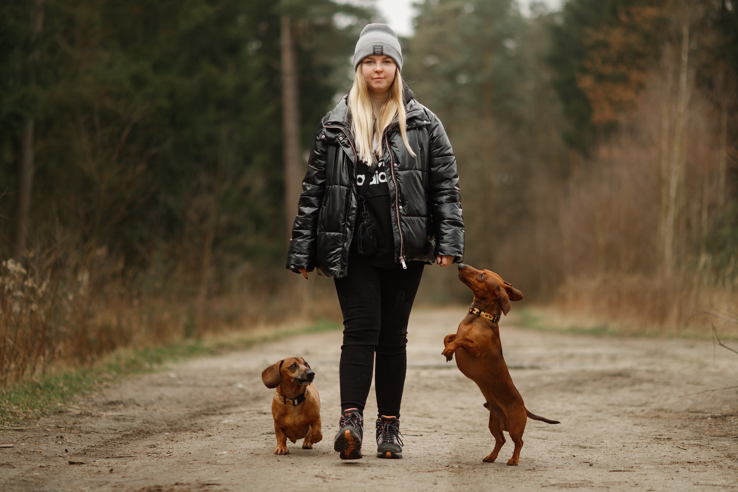 Ania, Franek & Vincent. Kaja | fotograf psów we Wrocławiu