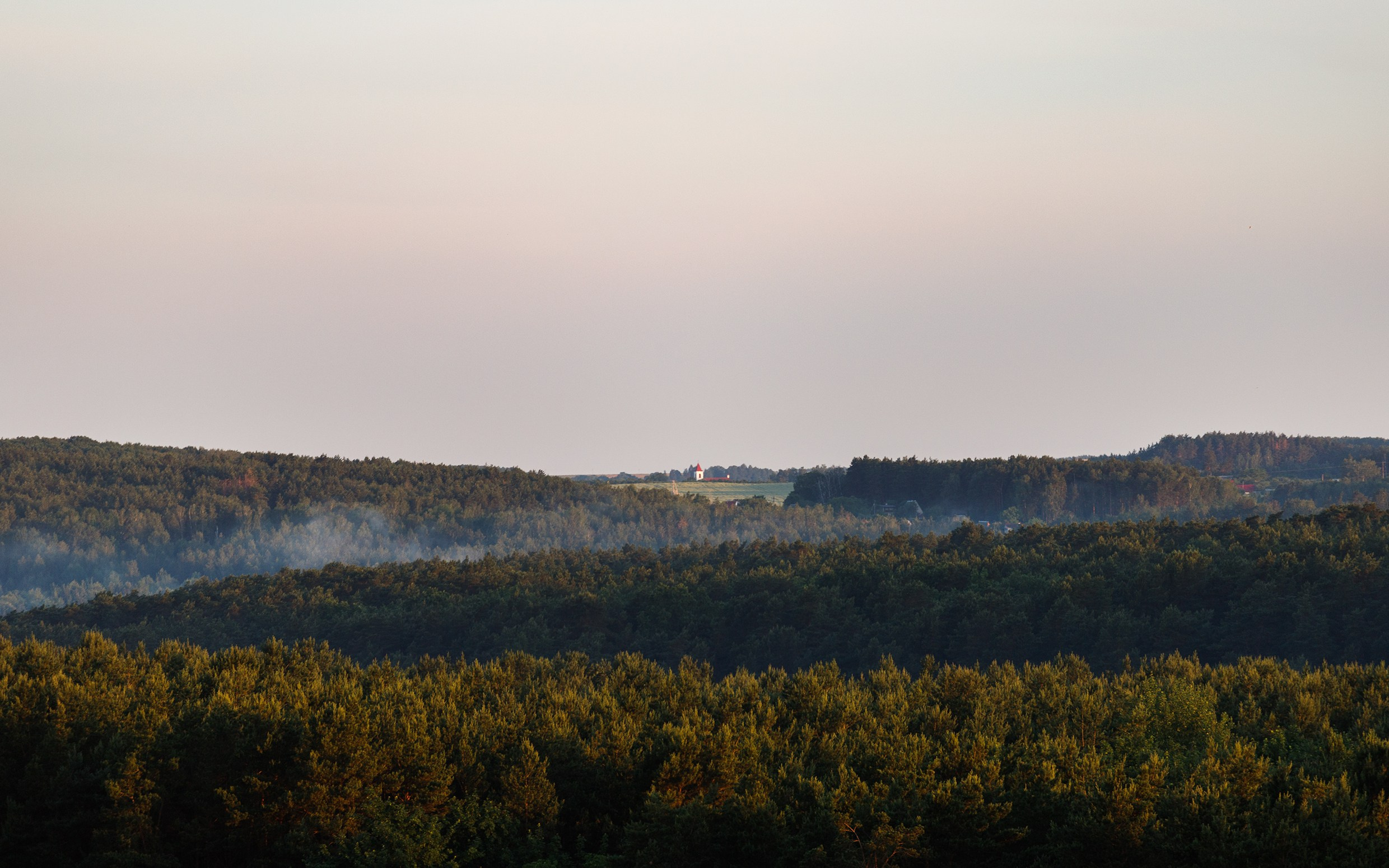 Grodno. Kaja | fotograf we Wrocławiu | ludzie i psy
