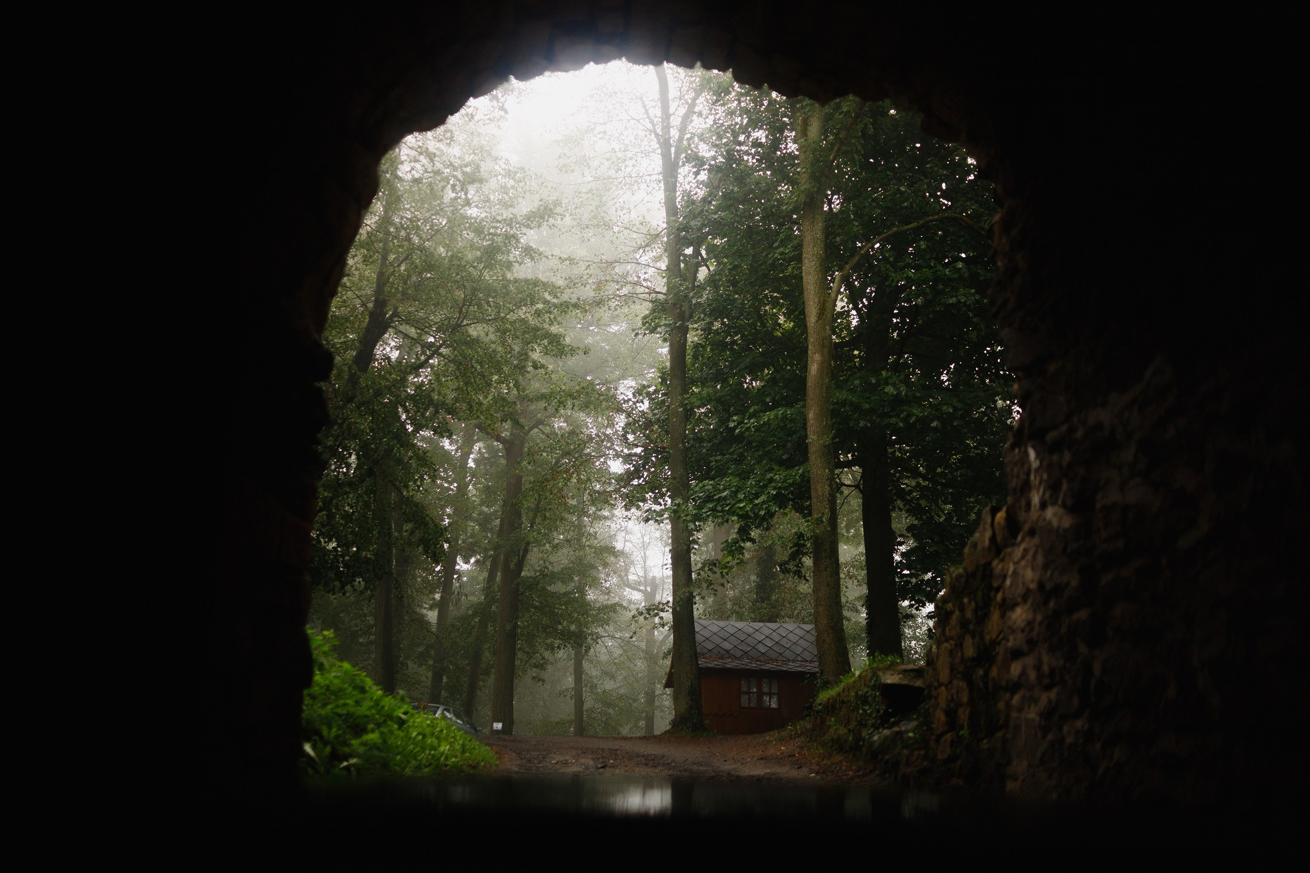 Zamek Grodziec. Kaja | fotograf psów we Wrocławiu