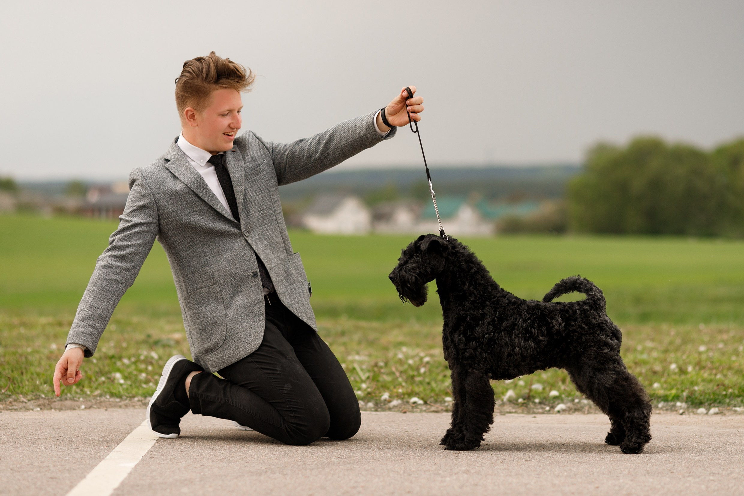 Dog shows | the best ones. Kaja | fotograf psów we Wrocławiu