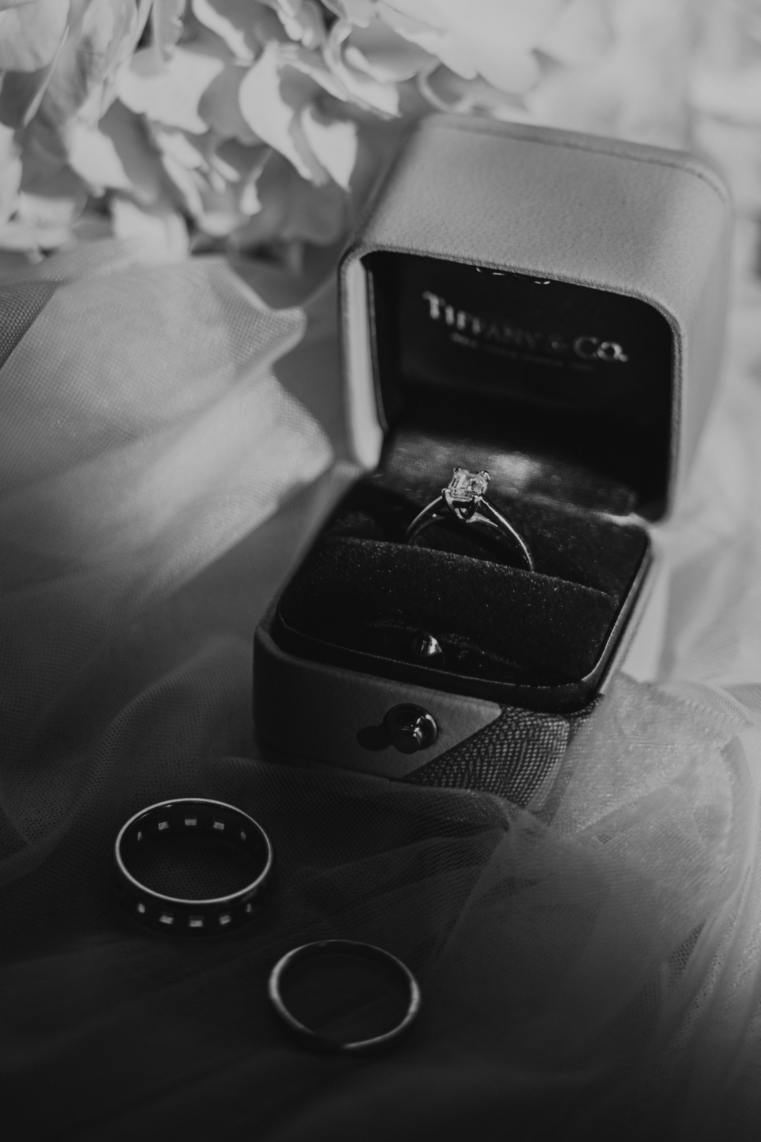 11/26. Wedding and family photographer San Diego