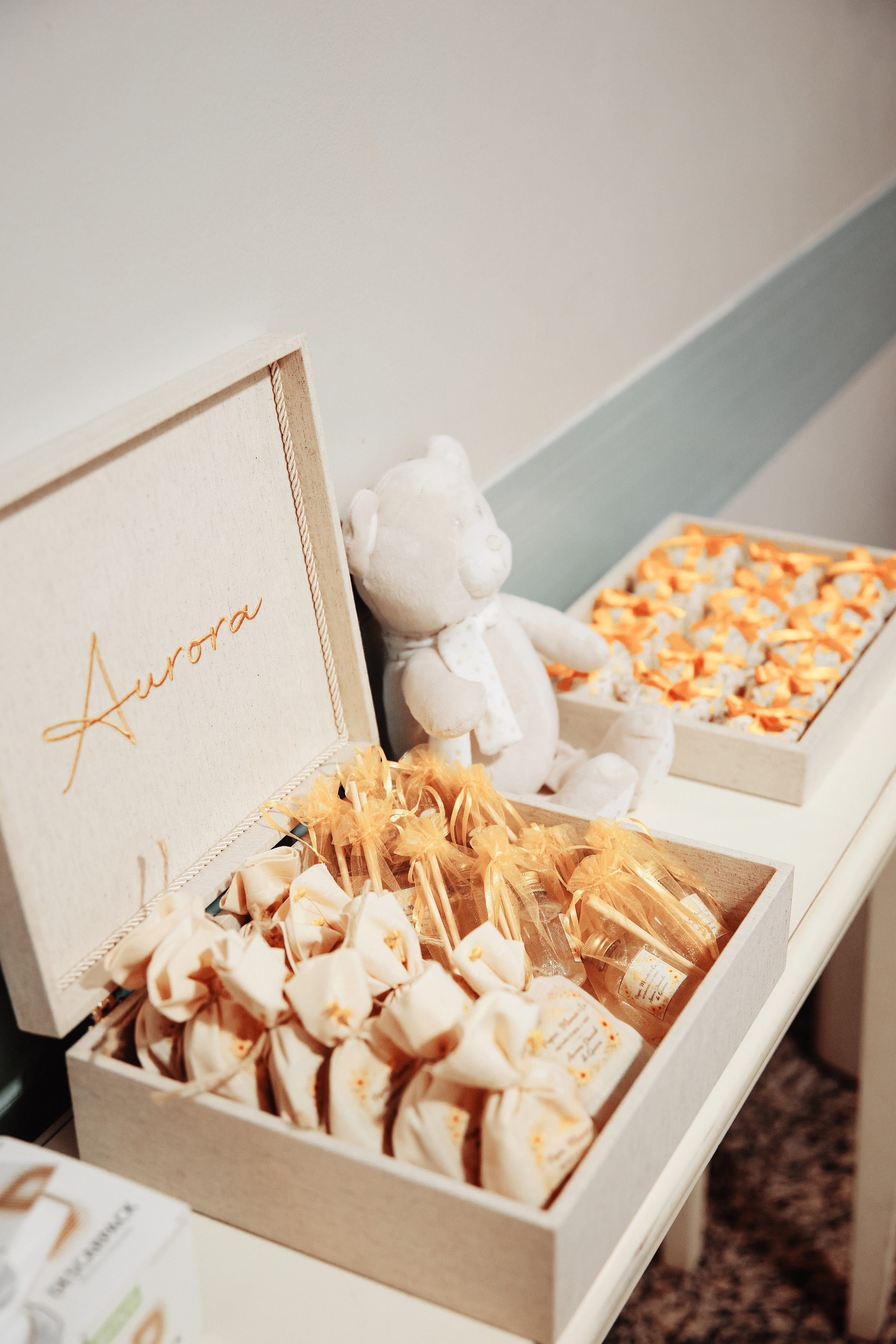 AURORA. Eu Talyssa Mendonça (Fotógrafa, Goiânia — GO)