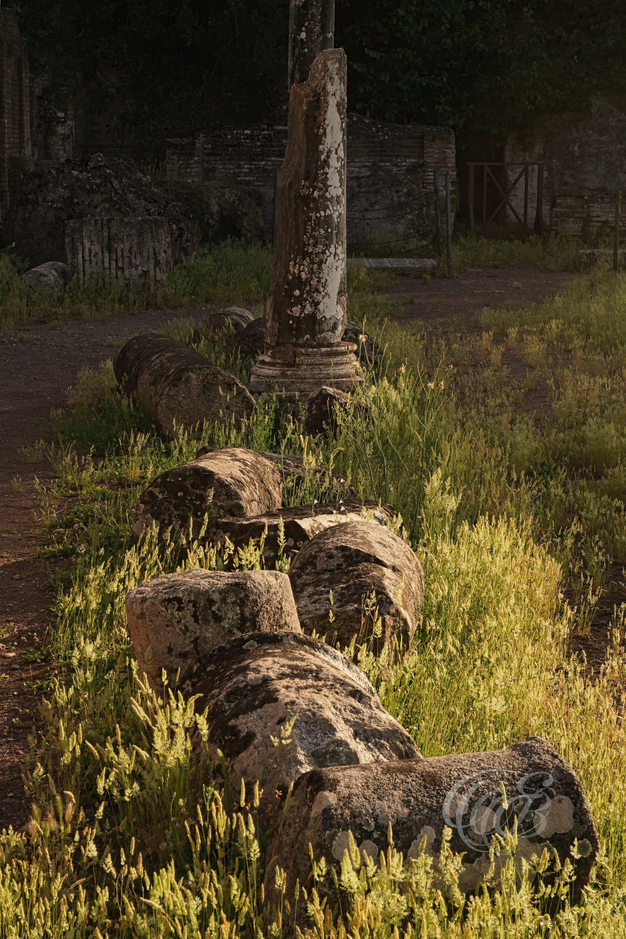 The remaining columns of the Golden Square (Piazza d'Oro) glow in the warm light of sunset, highlighting the elegance of their proportions and the rich tones of the ancient masonry. As the light changes throughout the day, this part of Hadrian's Villa takes on an especially peaceful and atmospheric character.