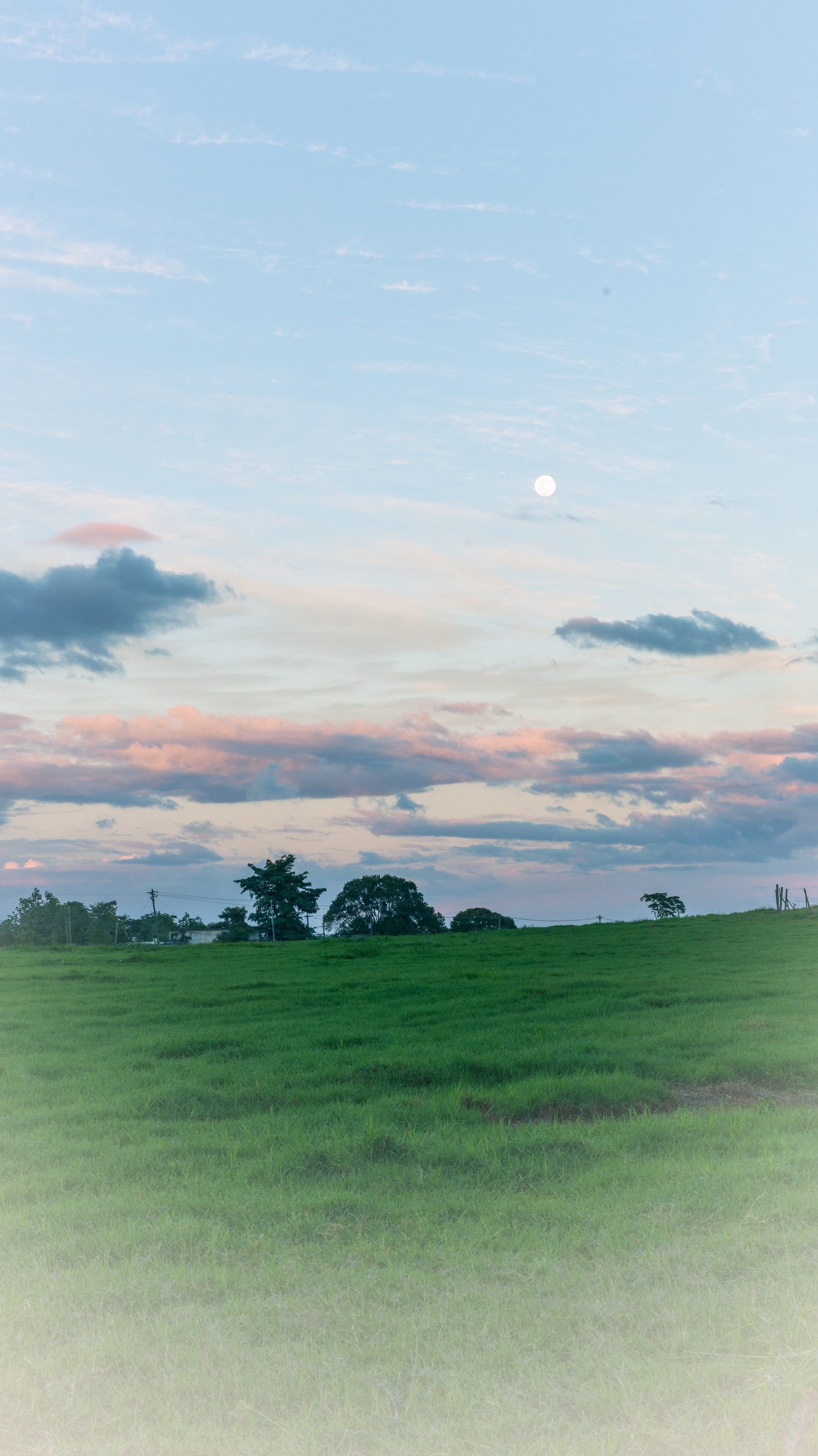 Natural Light. Manny Cruzado Photography