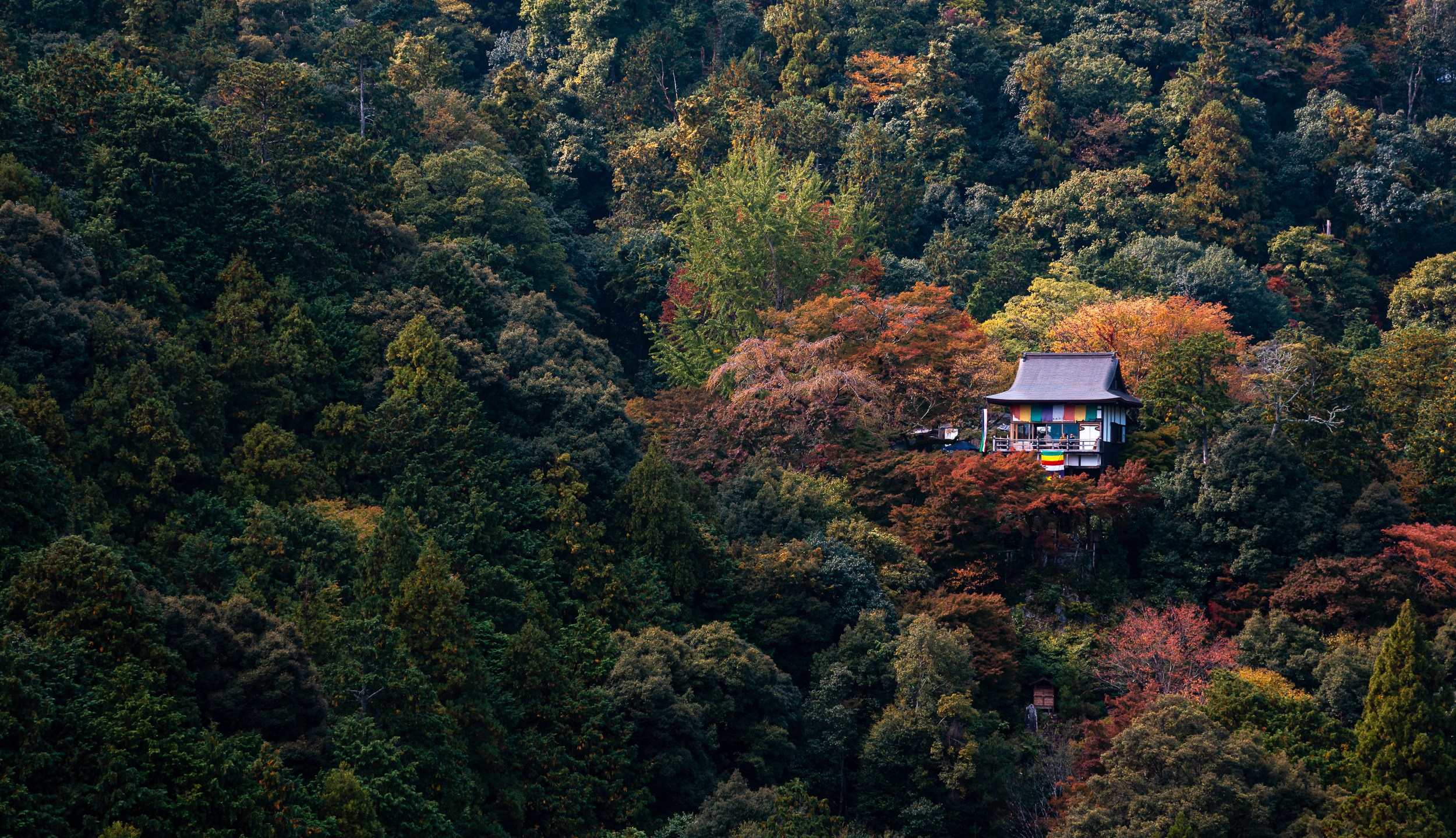 Japan. Marius Ciocan