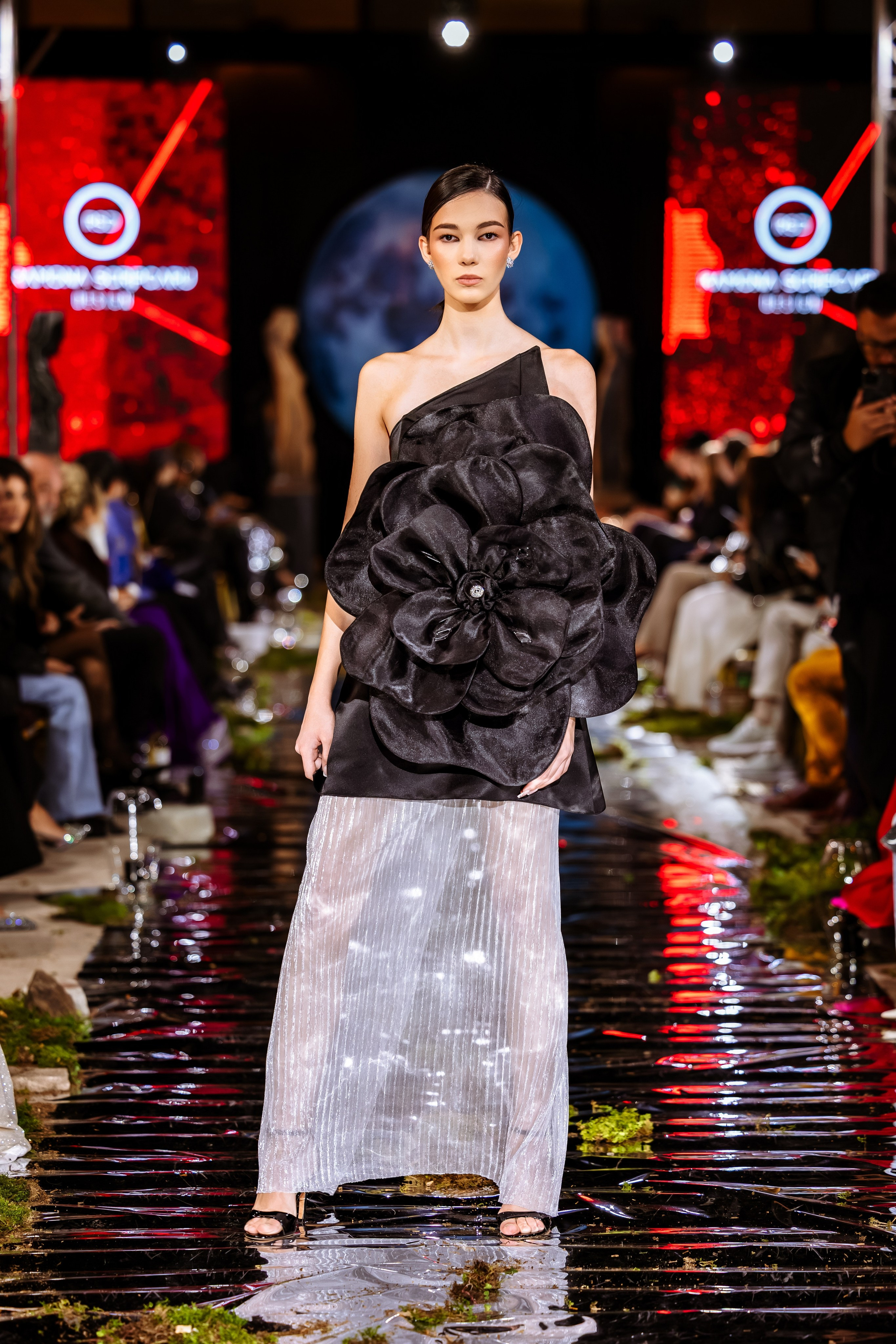 Prive. Marius Ciocan