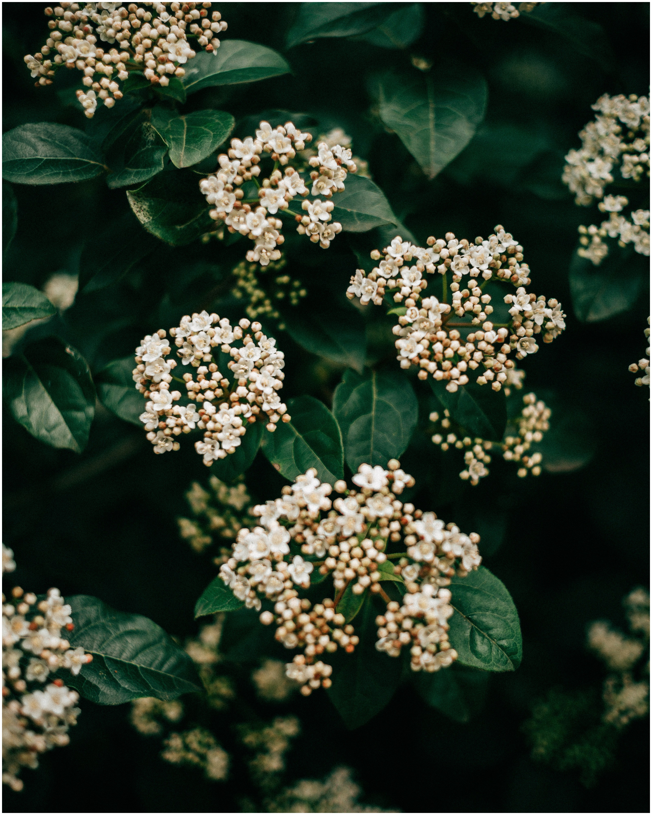 PALERMO. Photographer Inna Mendelson