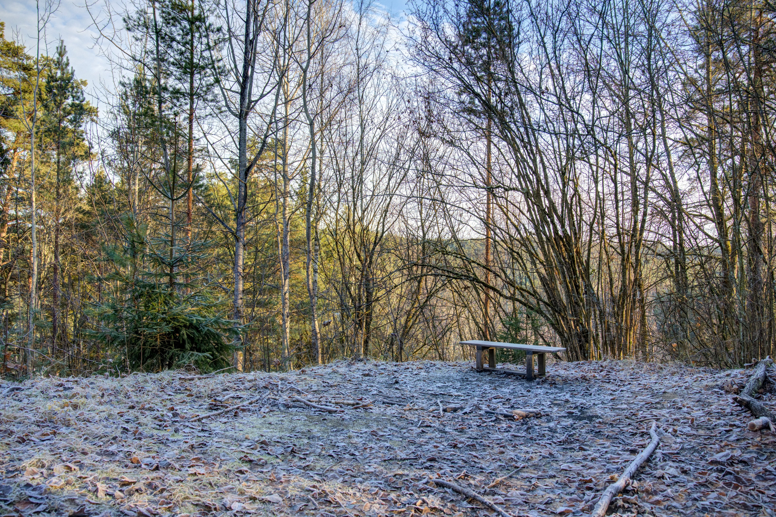 Dronas Antakalnis, Kanklių 10. Elina Sapiega fotografė Vilniuje
