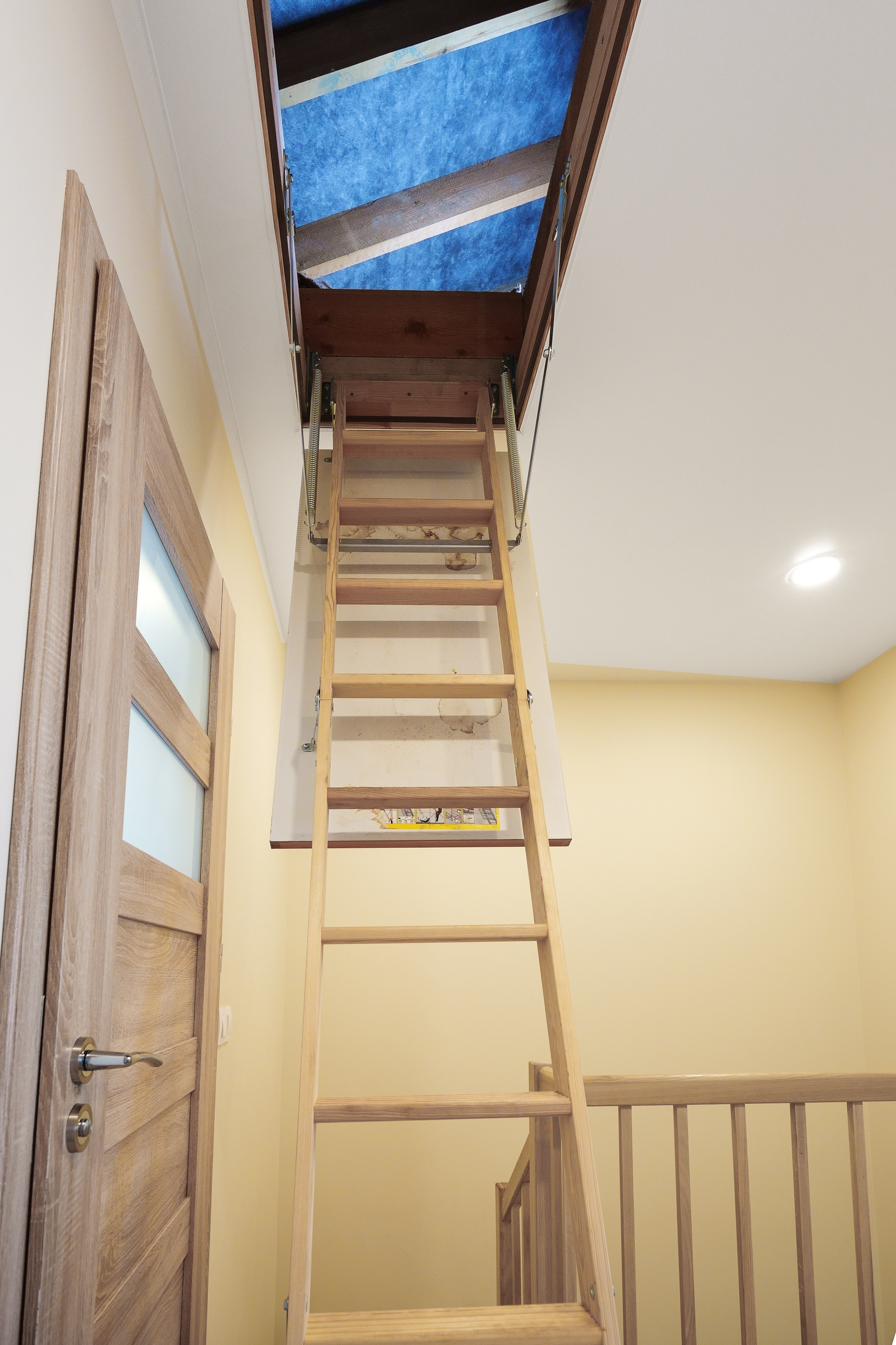 Tarandė. Elina Sapiega fotografė Vilniuje