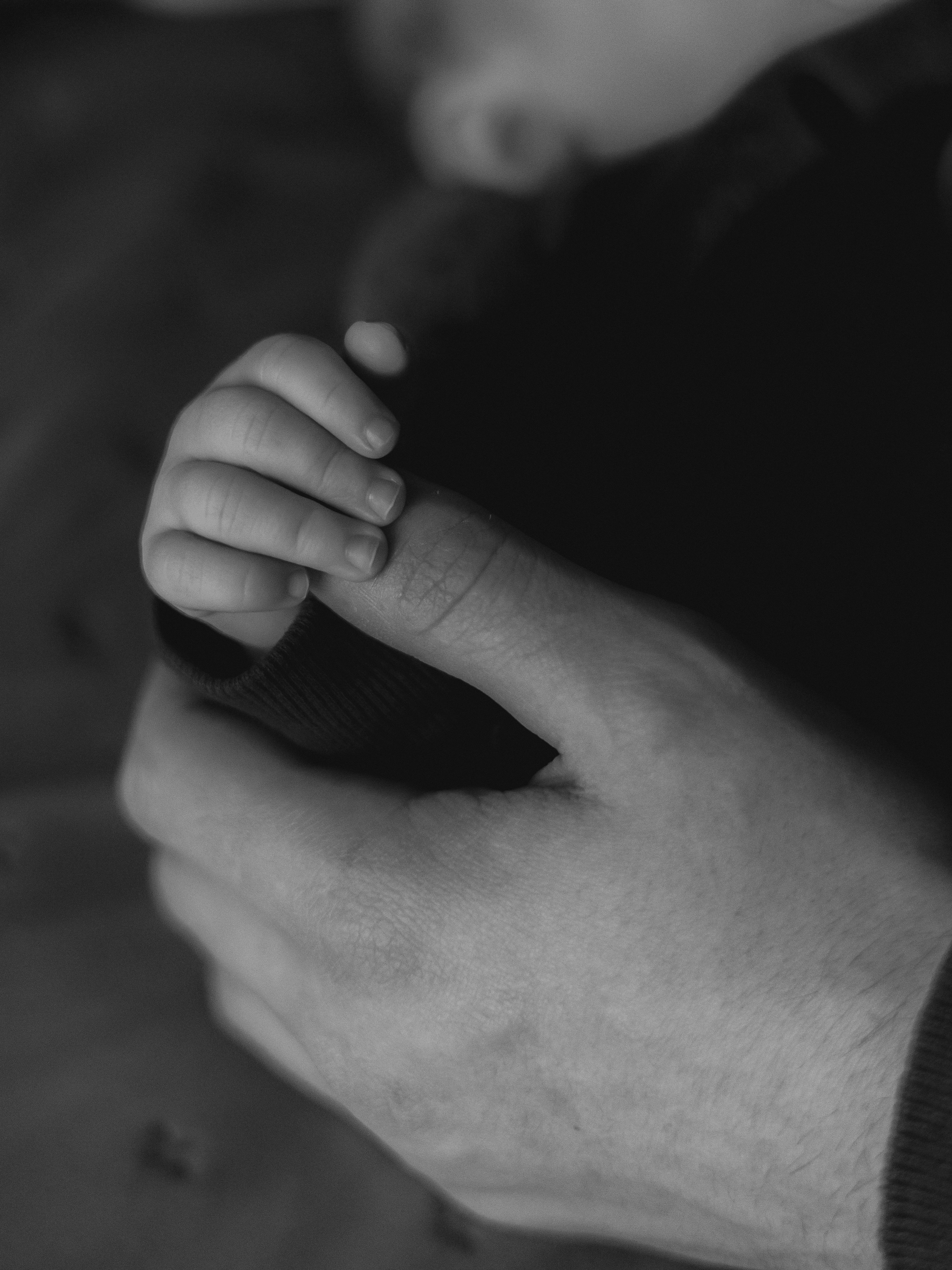 Ингрид, Евгений, Андрей и Джани. Семейный фотограф в Таллинне Дарья Кивимейстер