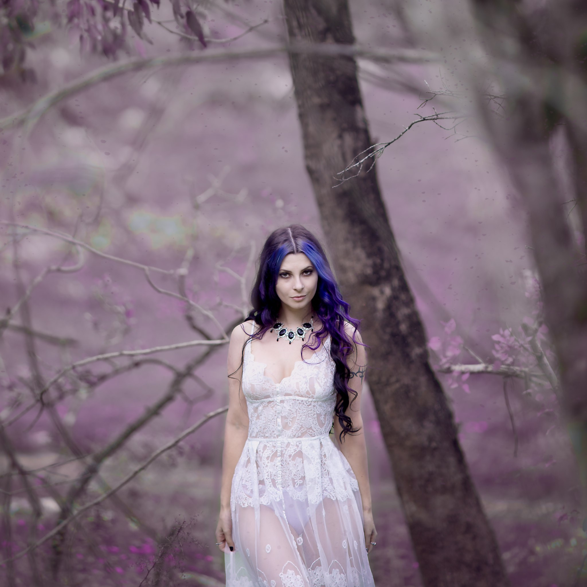 Portraits Image gallery of Tomer Weiss fine art