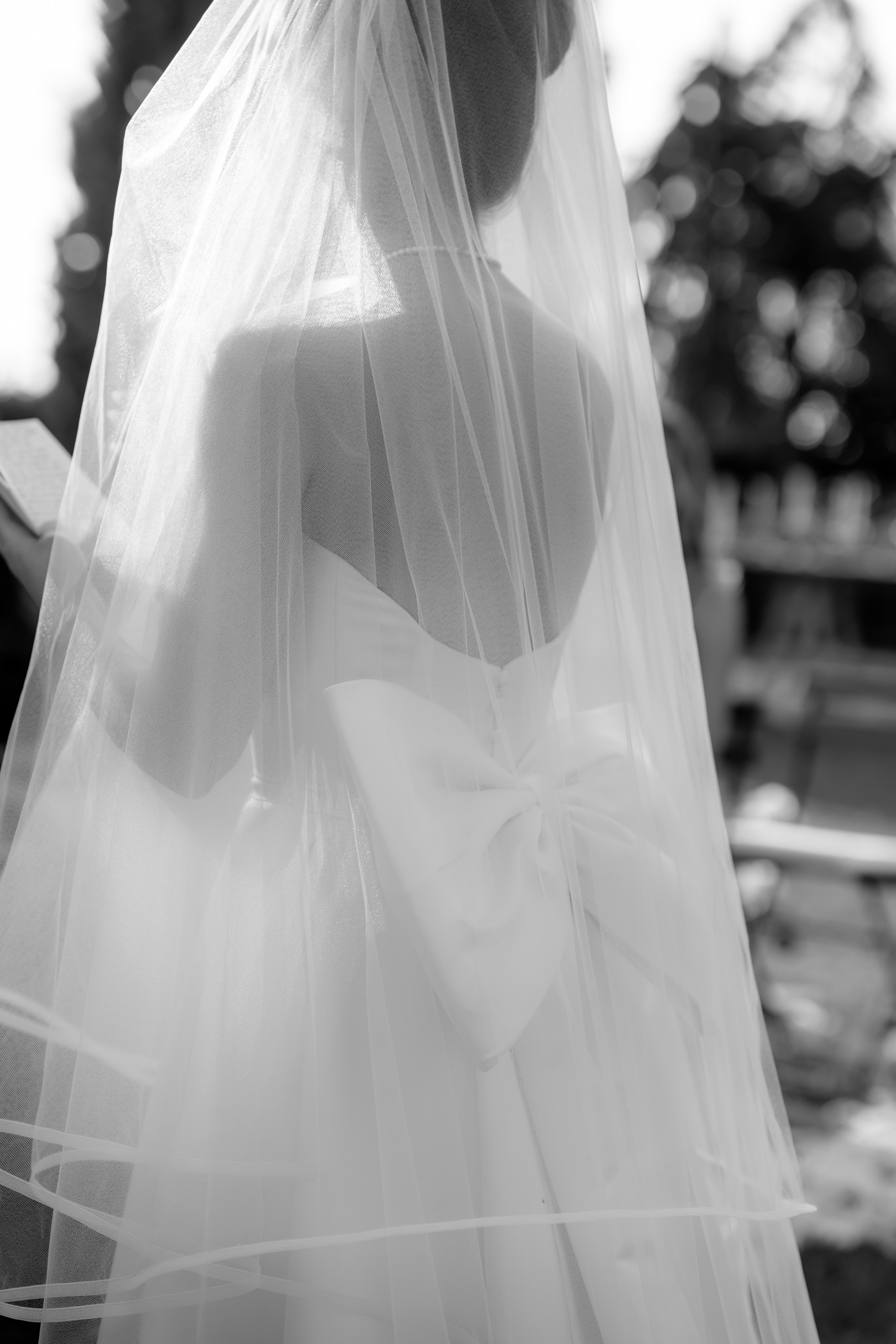 Dom&Ally. Весільний фотограф Вікторія Саврук