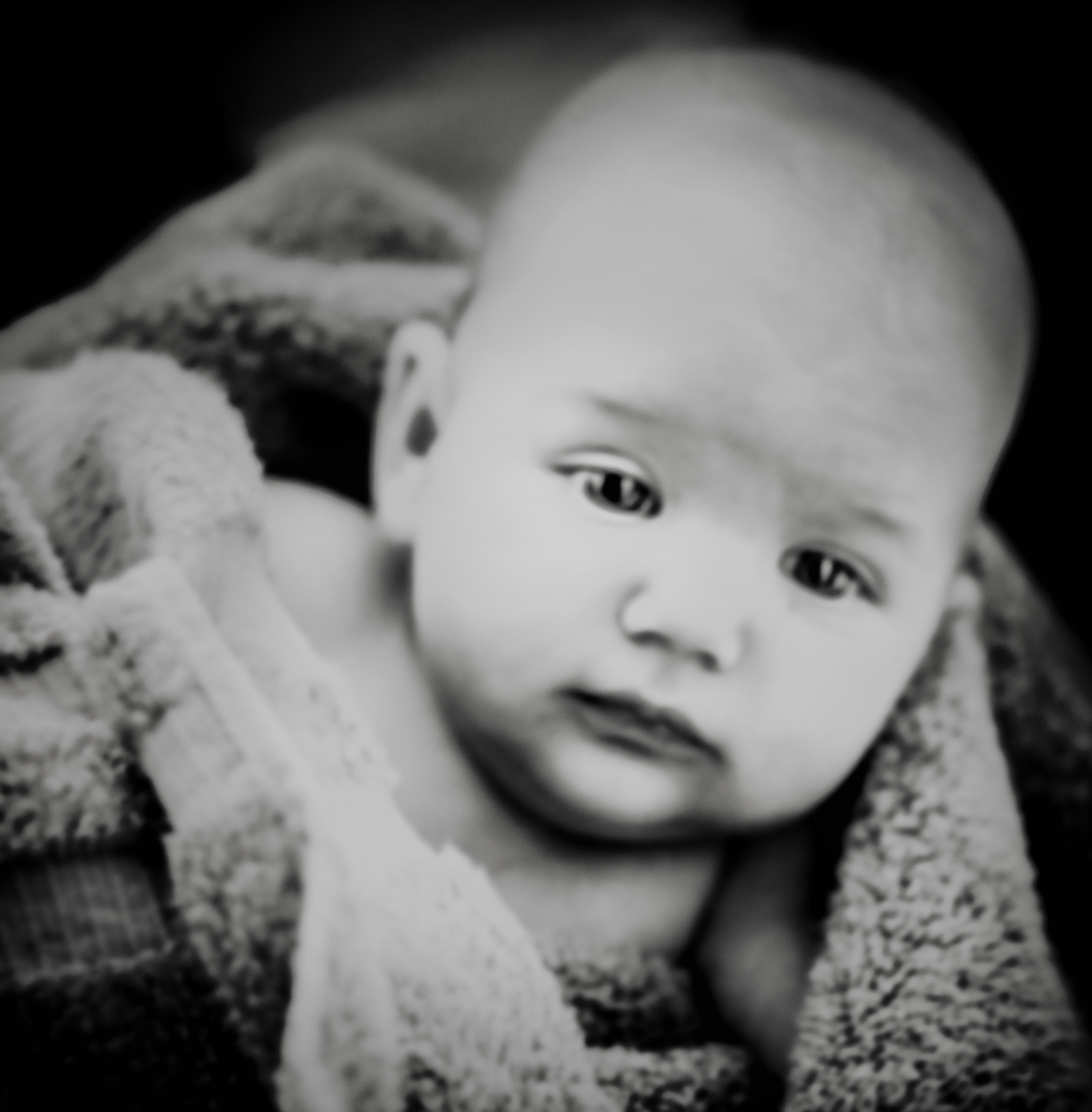 Portraits Image gallery of Tomer Weiss fine art