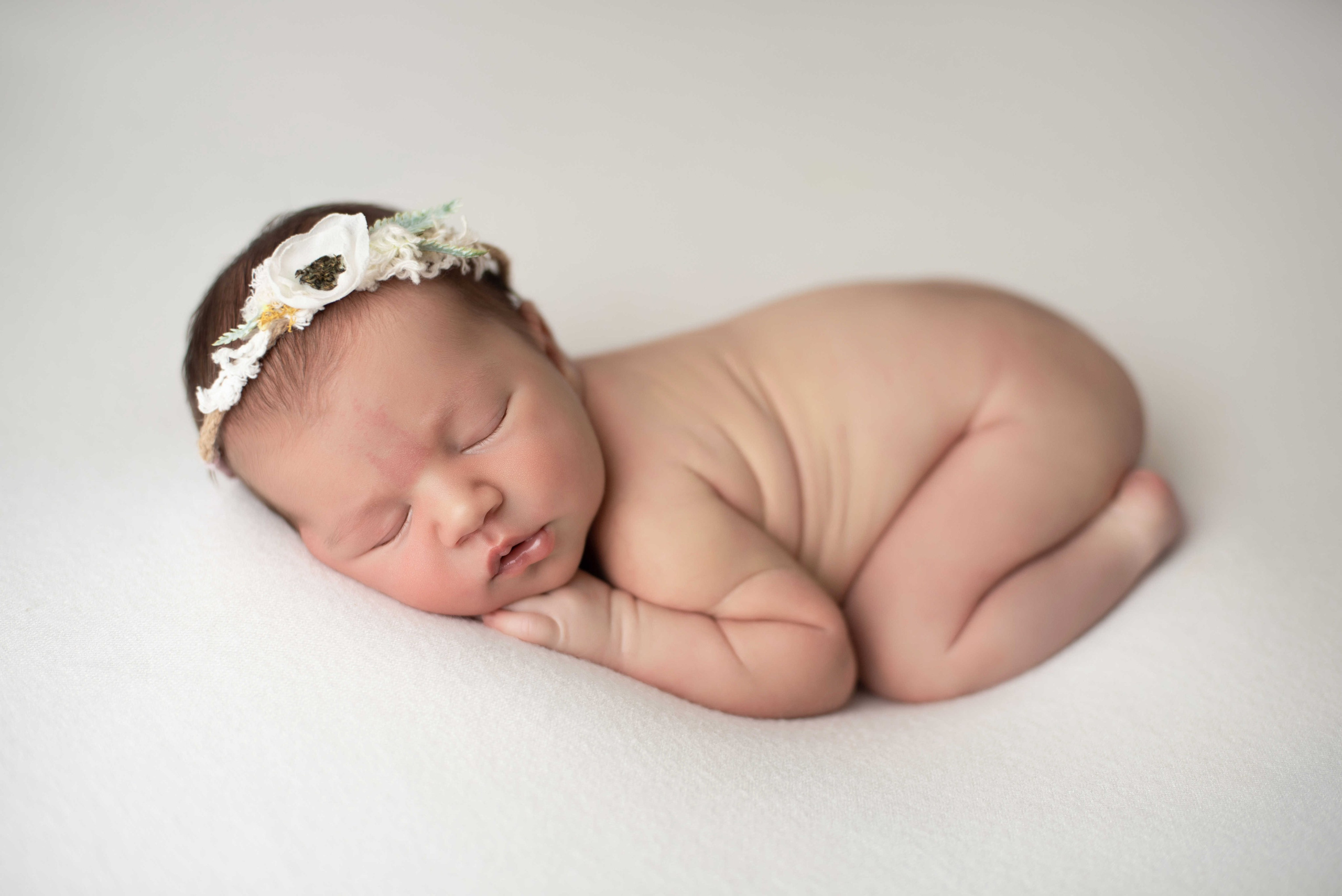 Portfolio. Newborn, Maternity & Family Photographer in Charlotte, North Carolina | Arhipova Julia