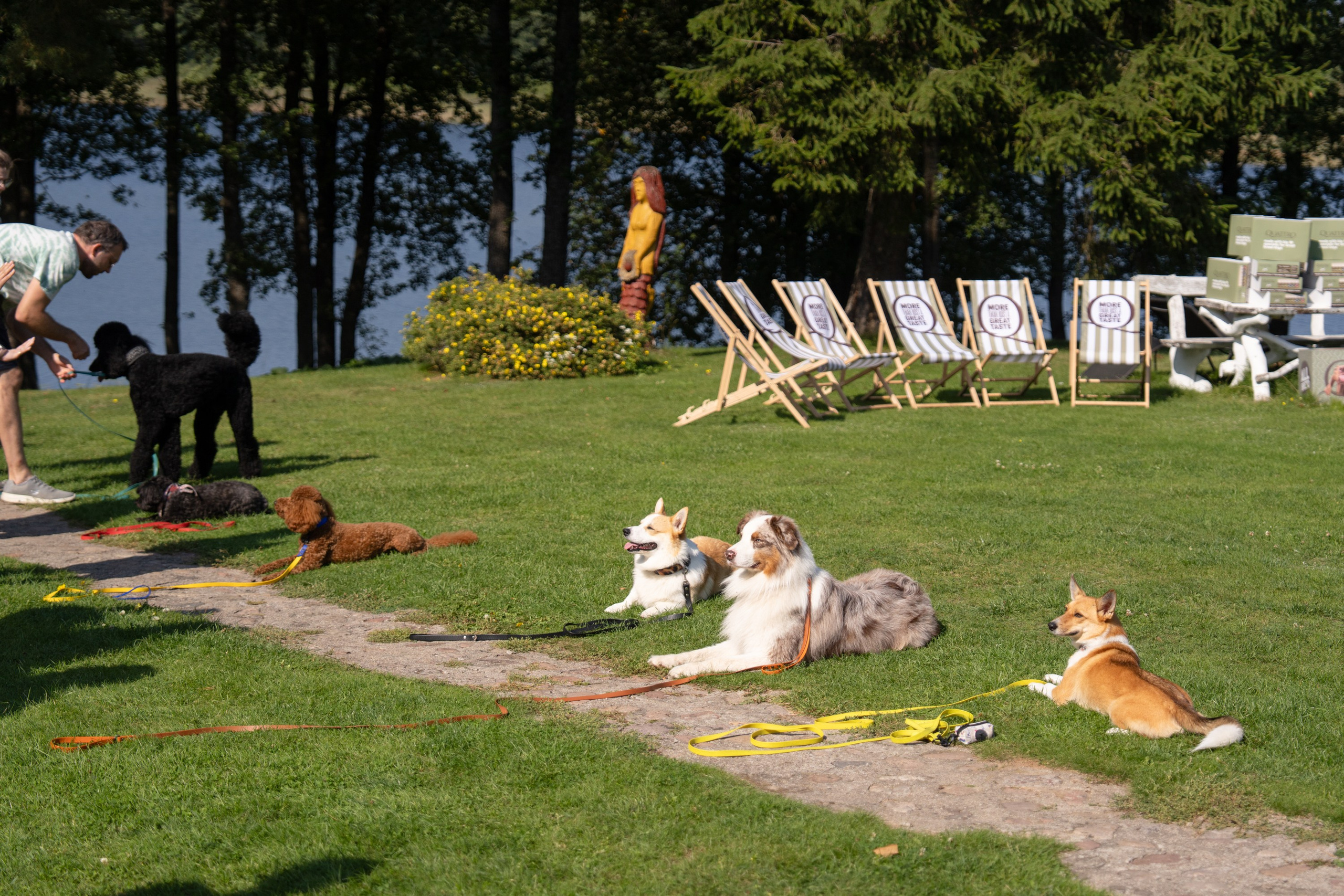 Heppi Dogo fest 2025. Vita Klimaševska ○ Fluffy Soulmate Photography