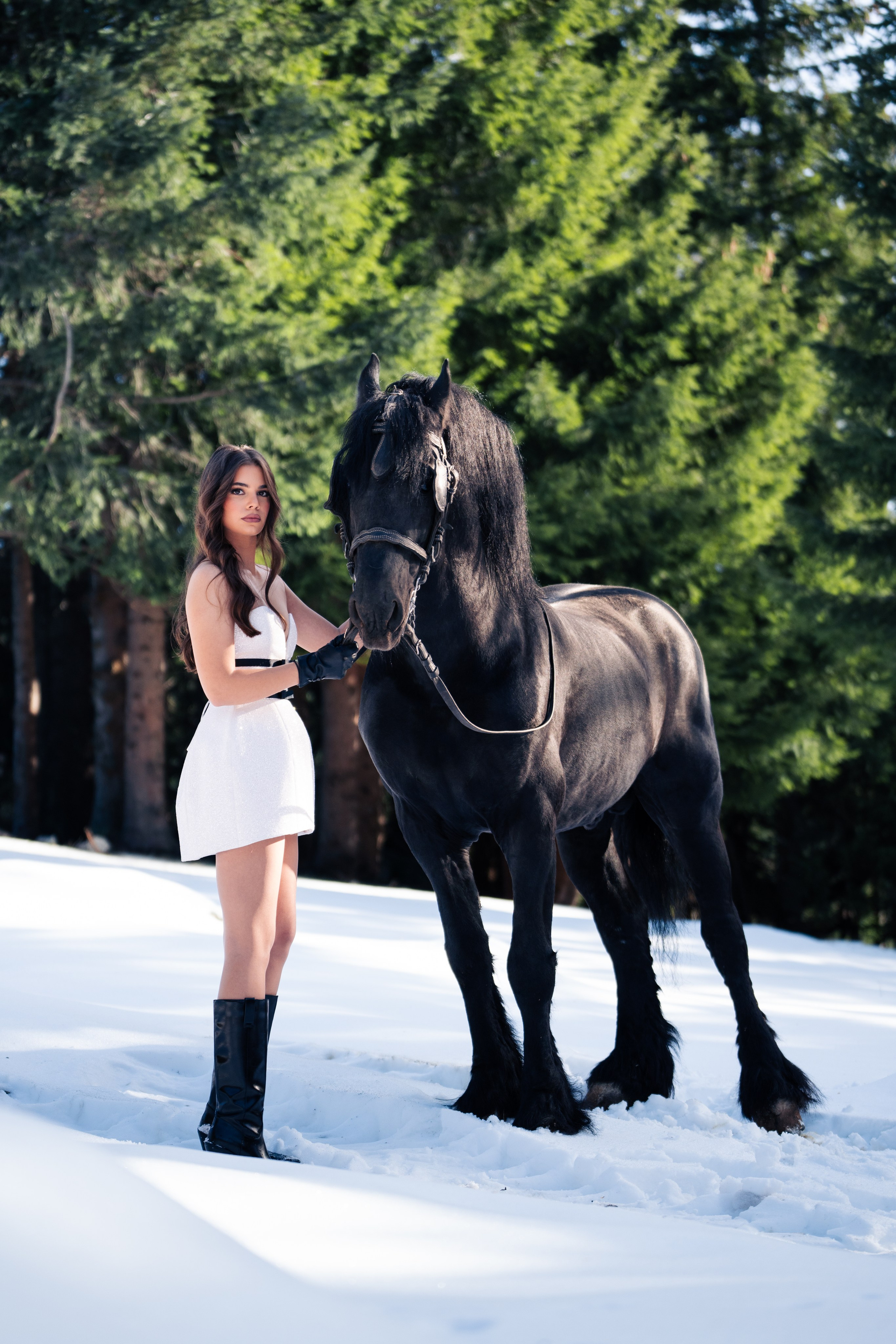 Teodora. Golub Photography | Events & Portrait