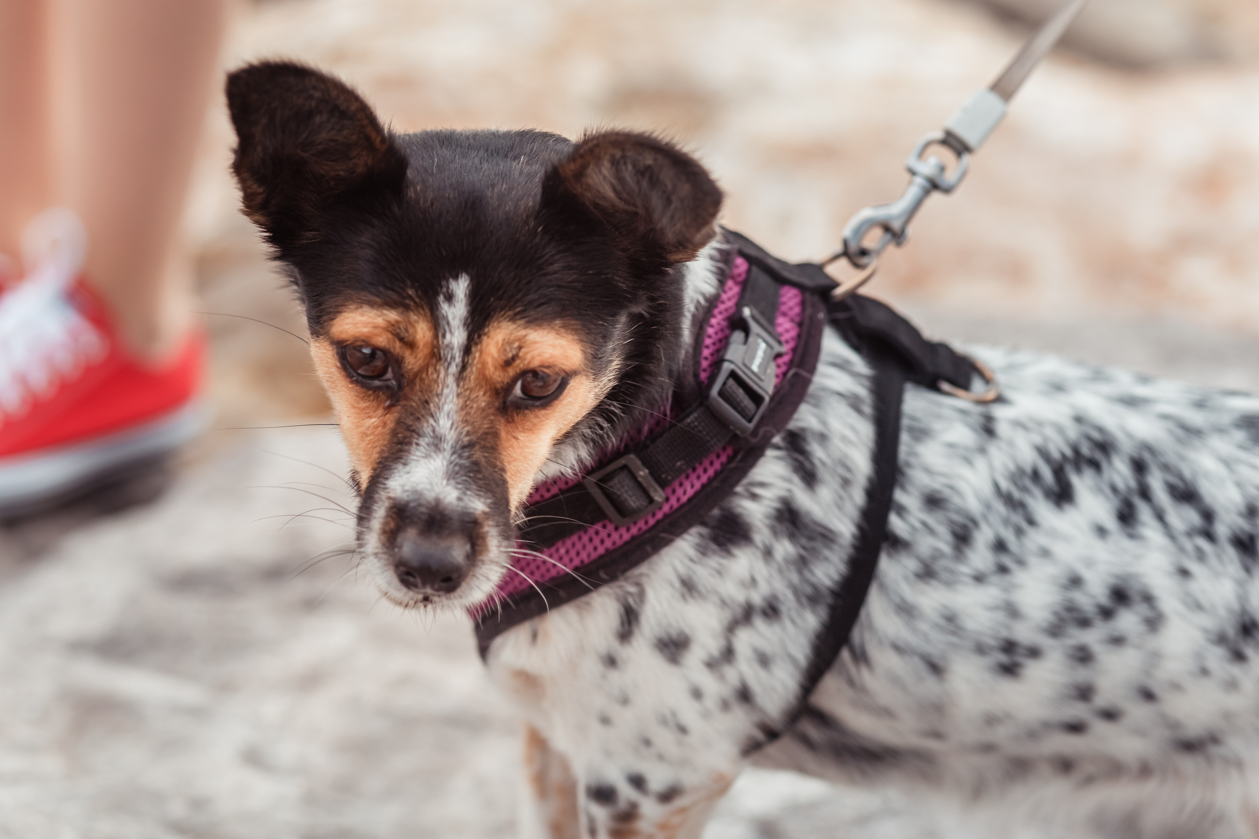 Екатерина&Юрий