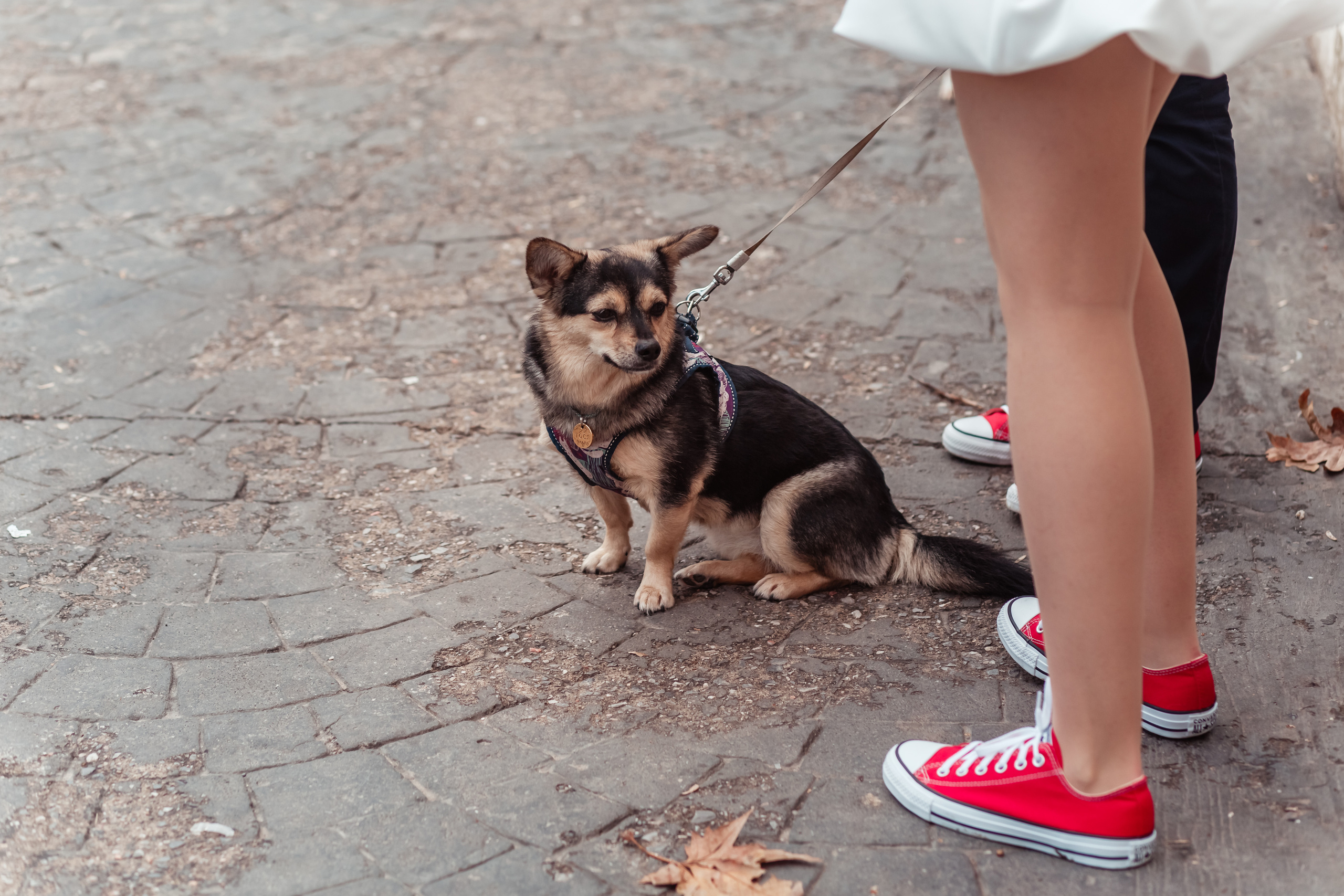 Екатерина&Юрий