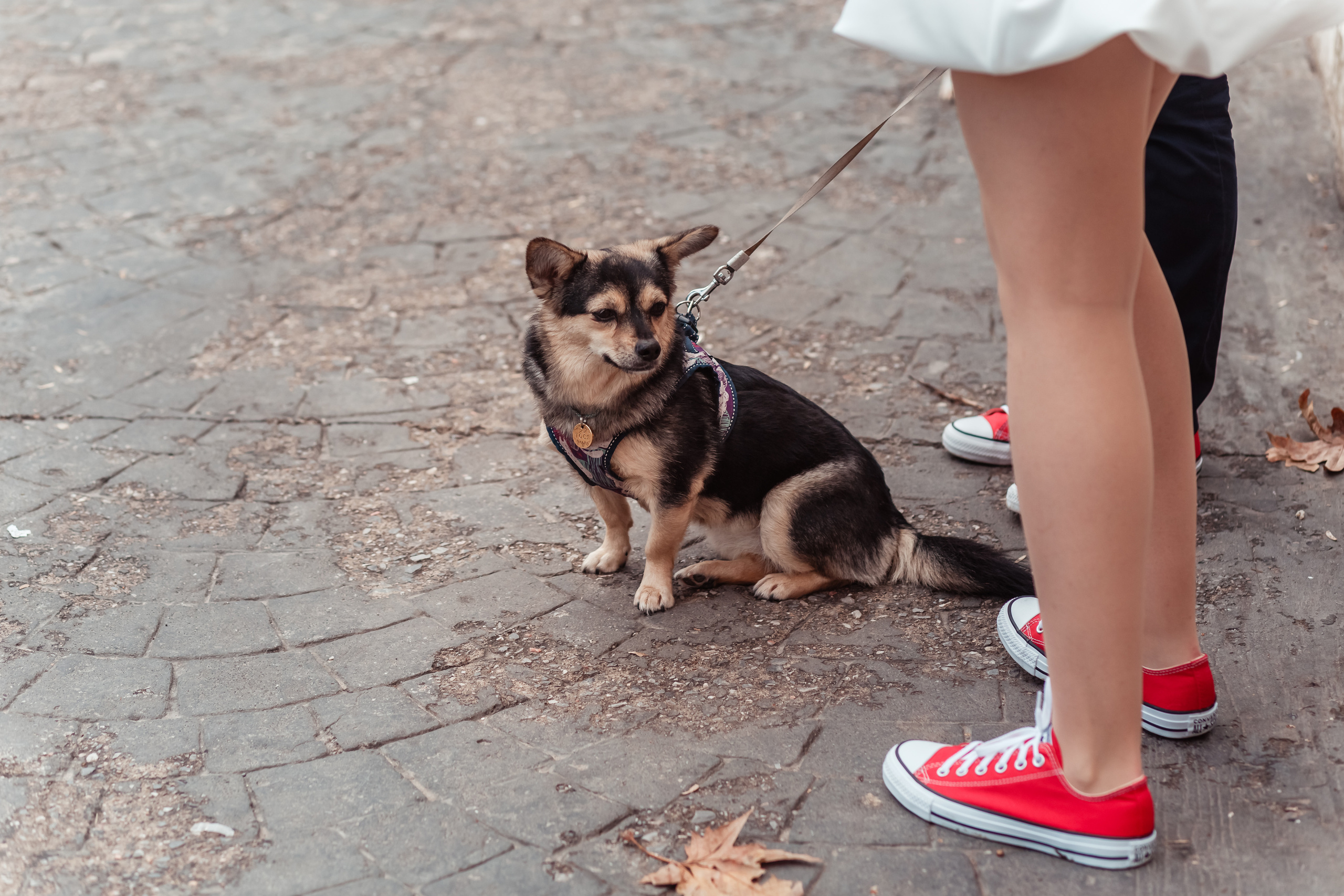 Екатерина&Юрий