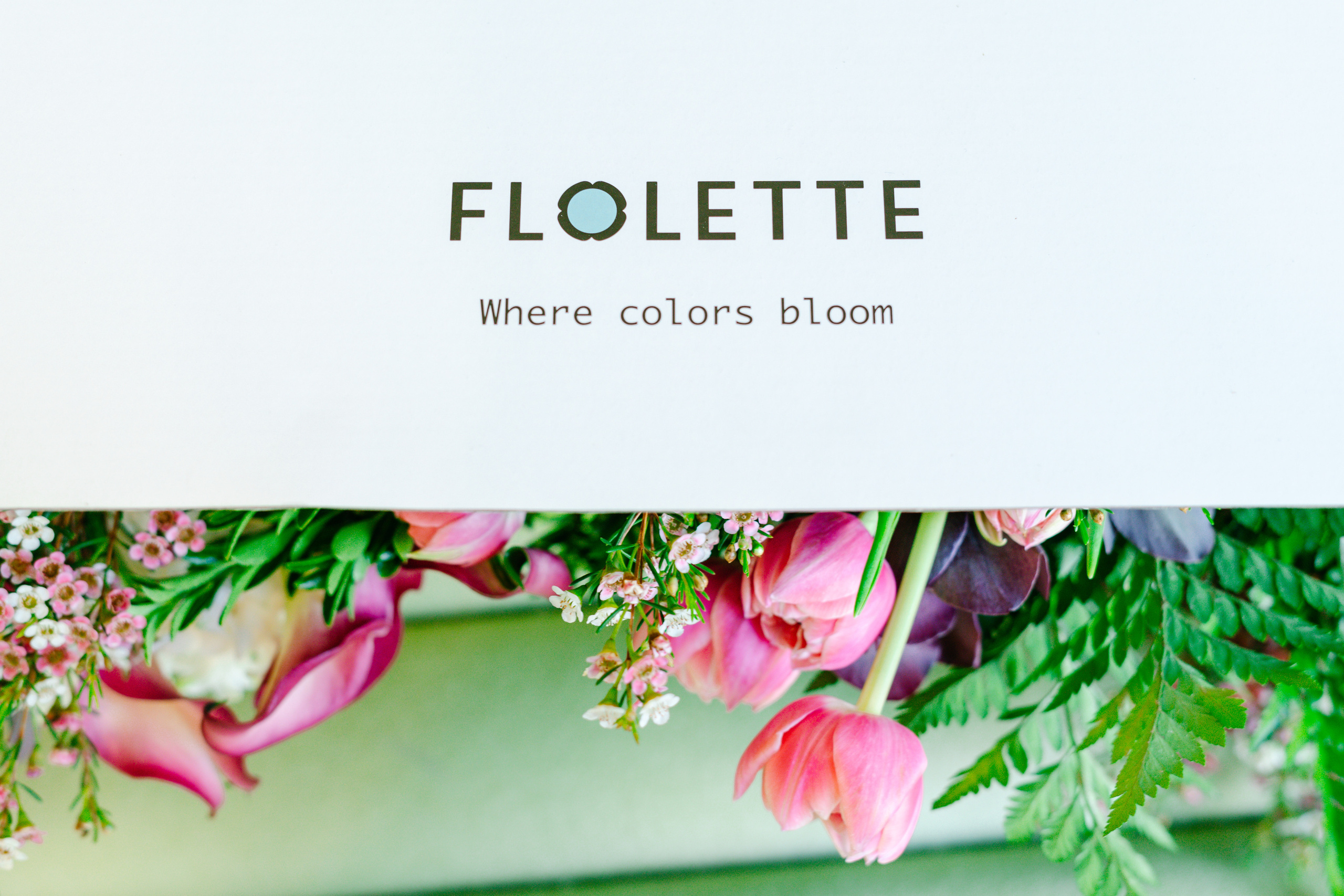 Event. Julia Bolgov Photography | Newborn, Family, Maternity & Milestone Photographer in Bay Area, CA