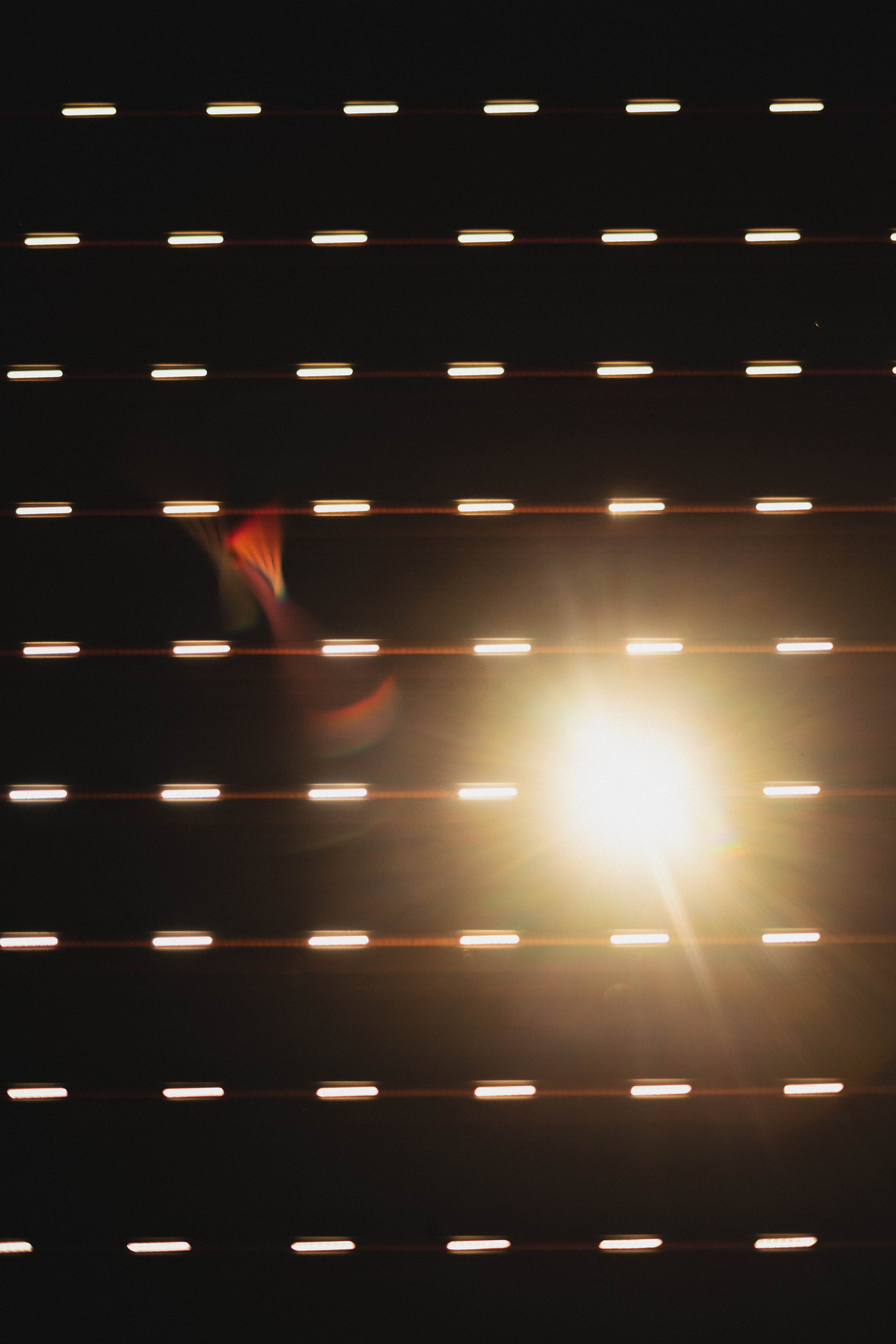 Sunset. Žukov Studio