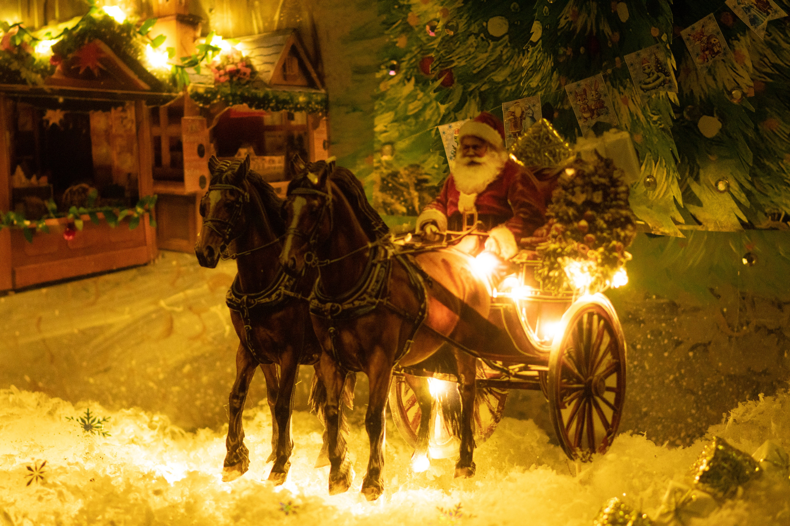 Проект. Семейный и детский фотограф