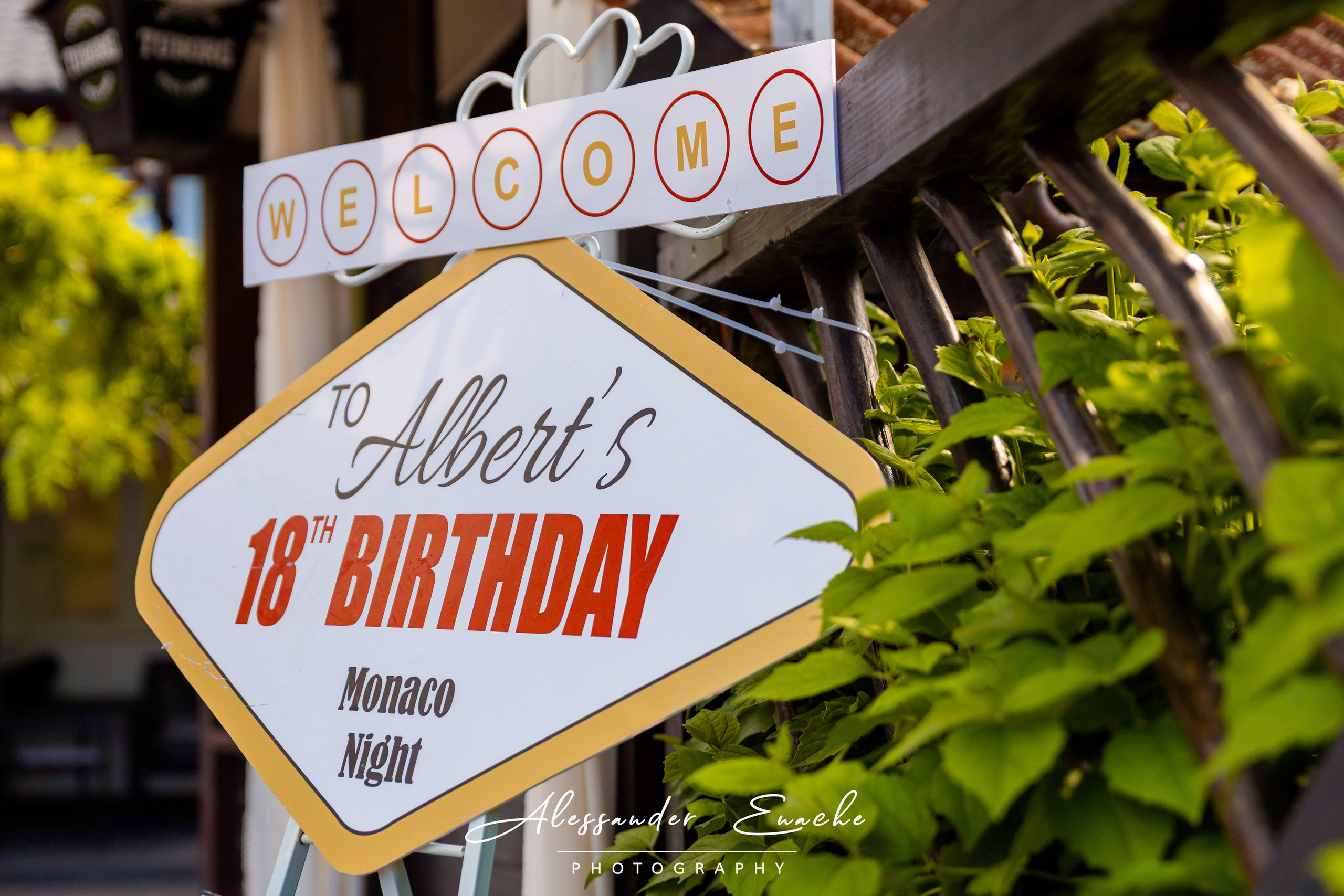 ALBERT. Fotograf prin #Piatraneamt-Alessander Enache