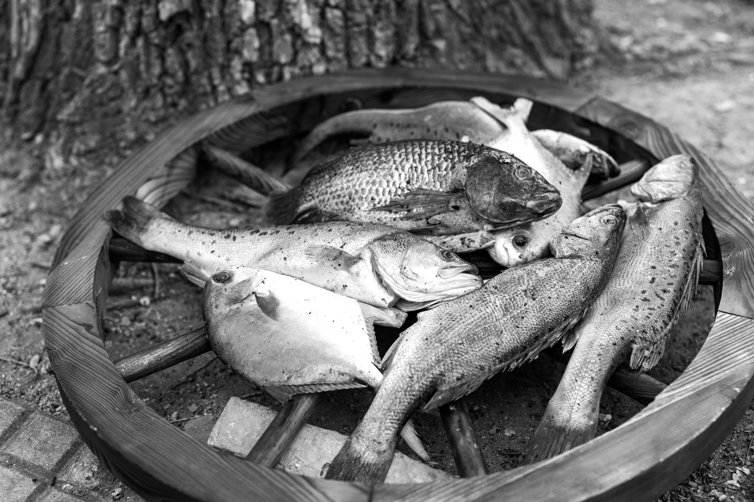 АННА. Женский фотограф 45+ Наталья Колосанова, Москва