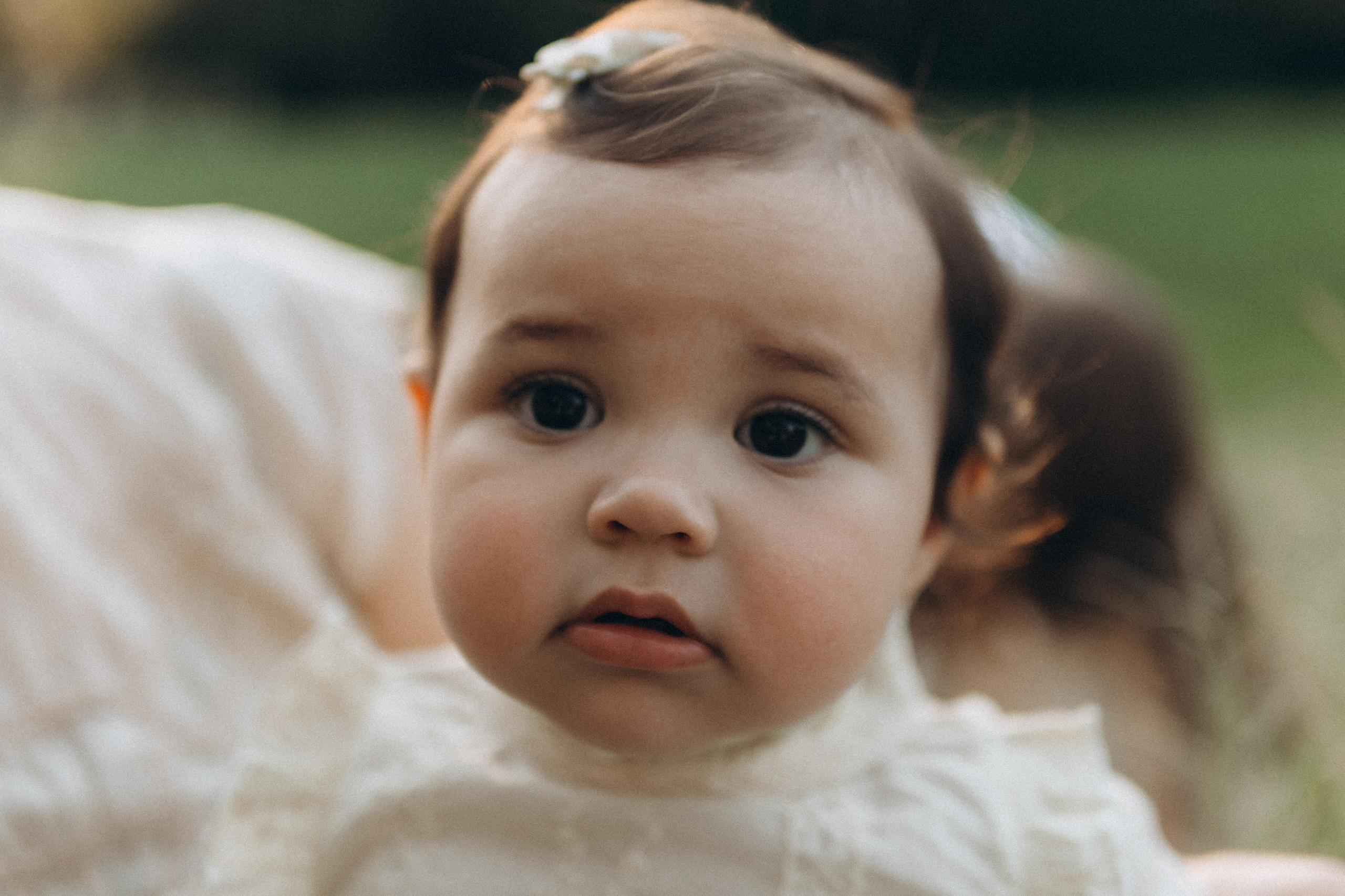 The Woodlands. Lens Captures Life