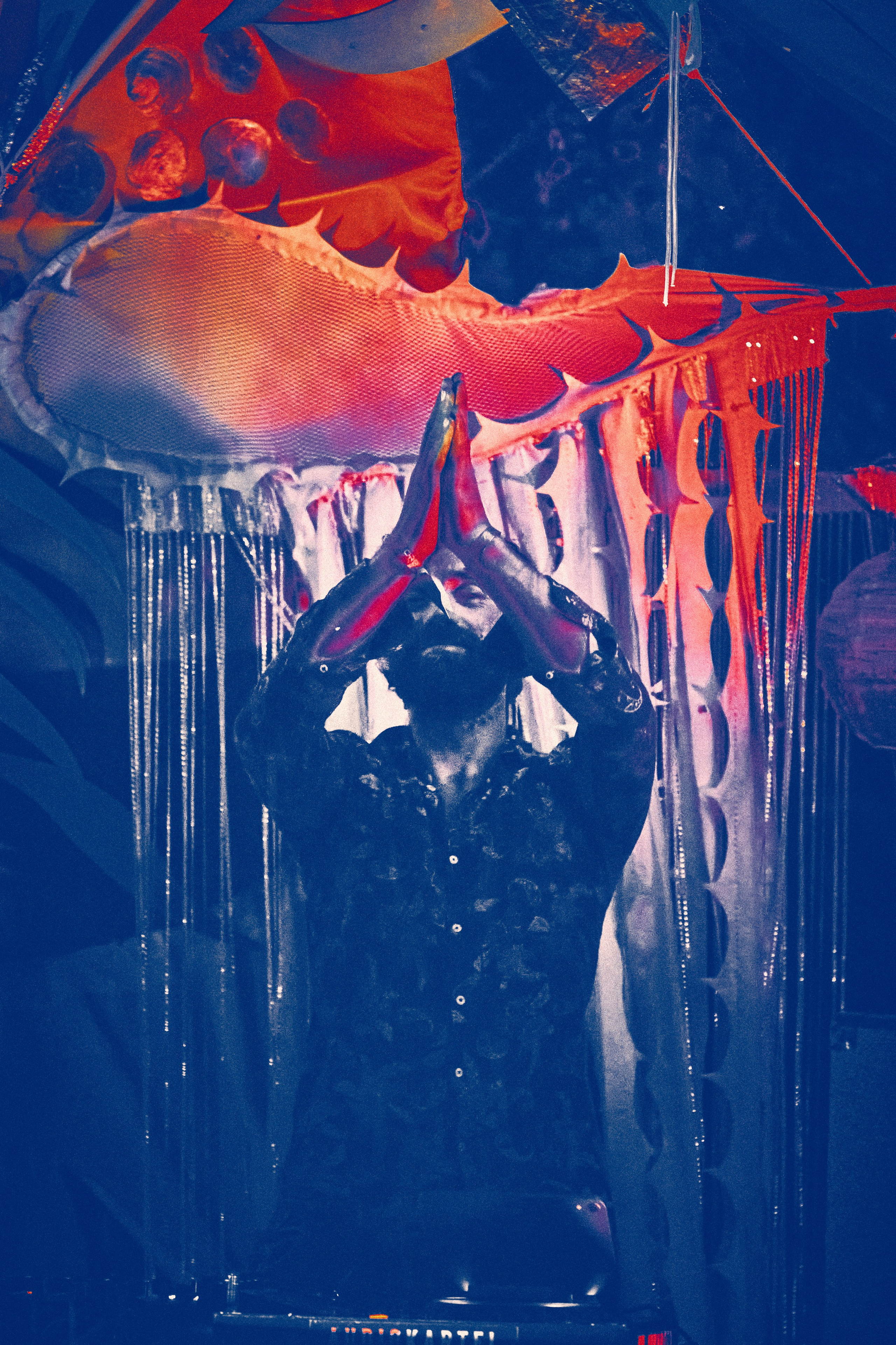 Organic Festival 2024. Андрей Шипилов — Фотография & Видеография