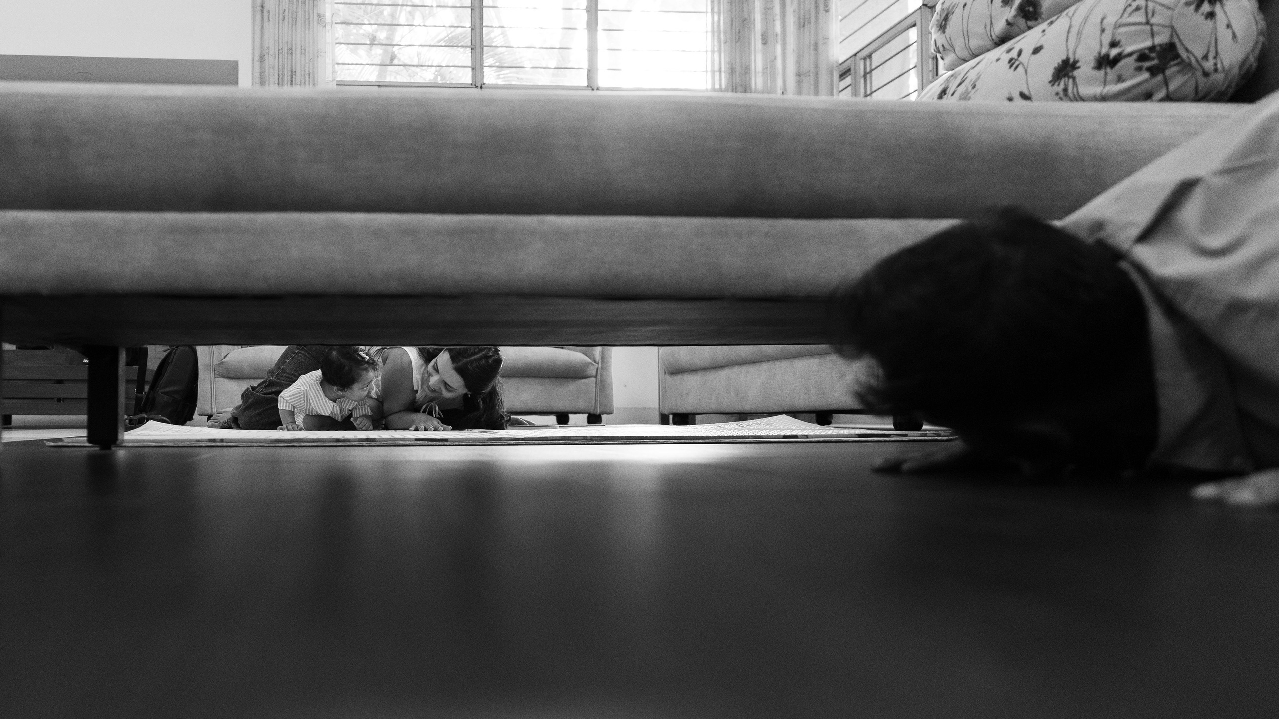 Family Portraits. Kruthika Pillai