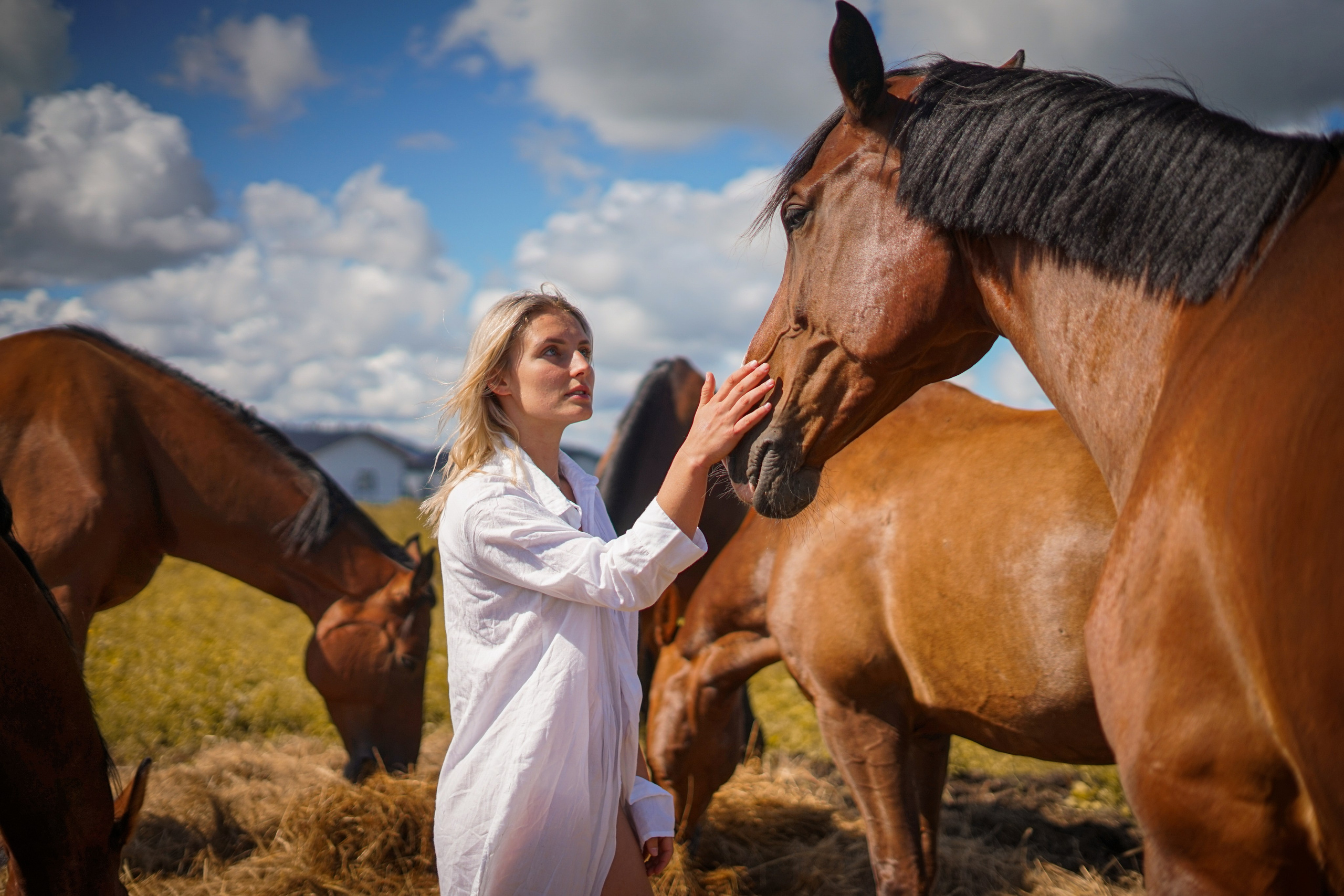 Horses and Harmony Ft.Paula. Potrait Photography Arjunovision