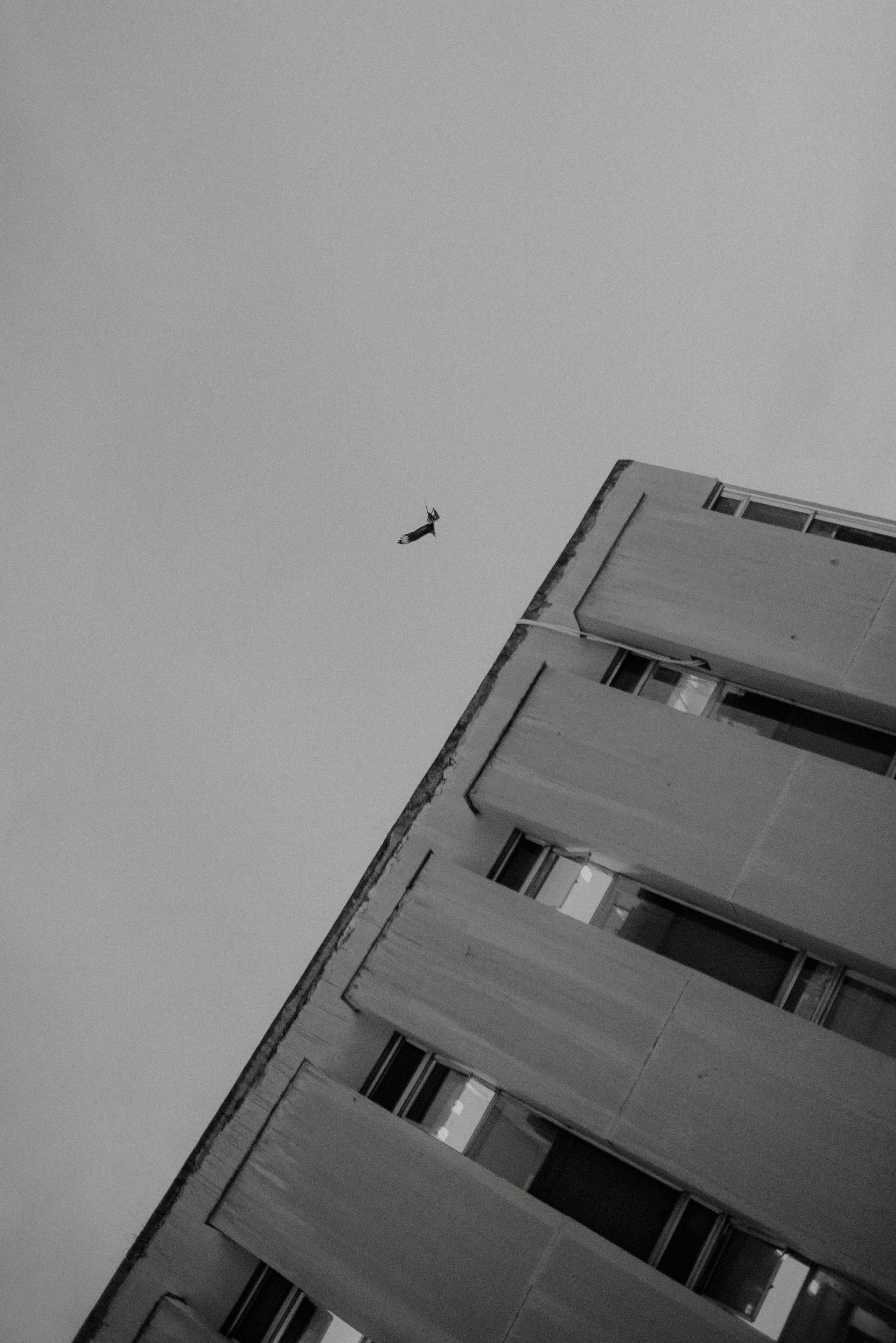 Hadassa e Rômulo. Fabio Barth | Foto e Filme de casamento