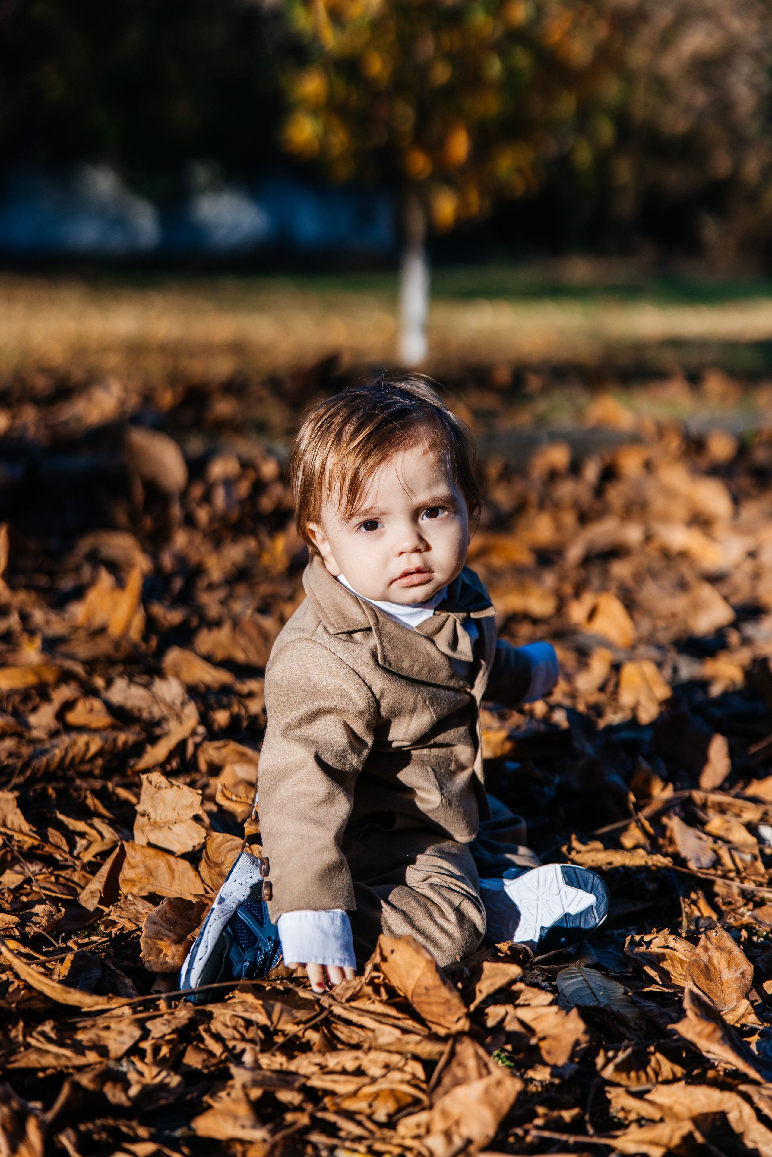 Mark. Furduidumitru.com