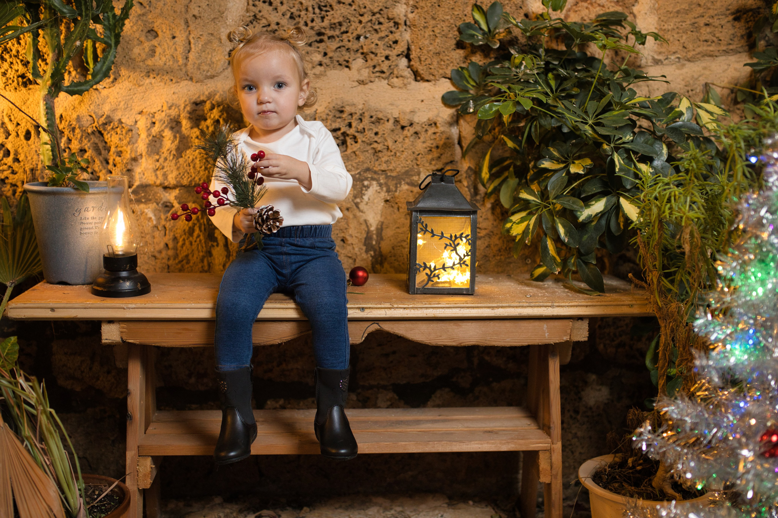 Christmas Photography. Professional photographer Serbia