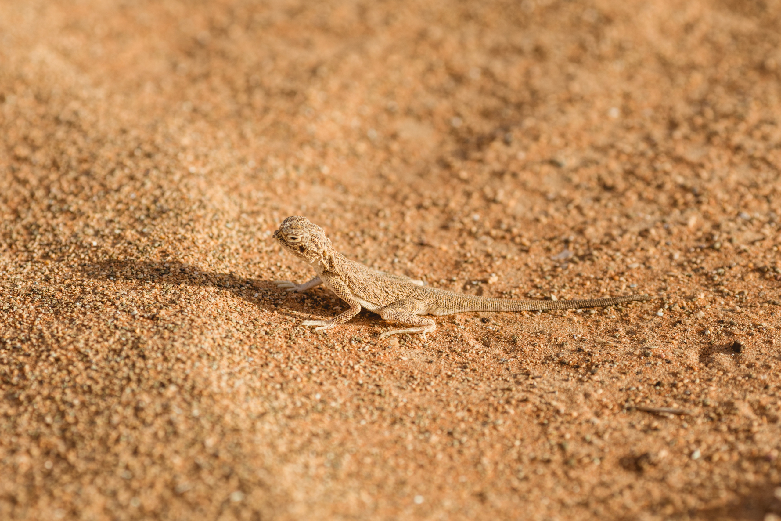 Ready for the journey, one step at a time. Портретний та весільний фотограф Надія Онода