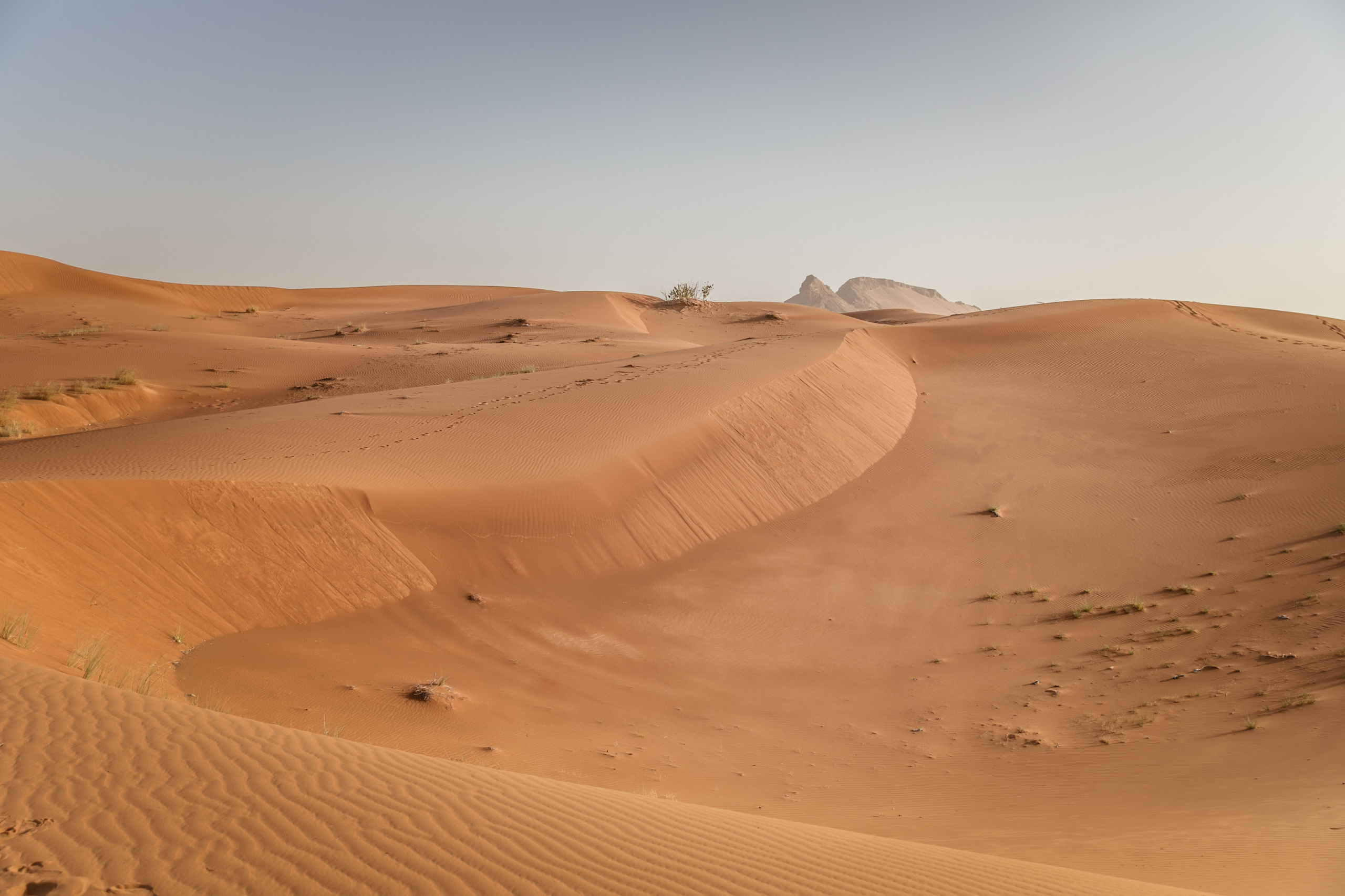 Ready for the journey, one step at a time. Портретний та весільний фотограф Надія Онода