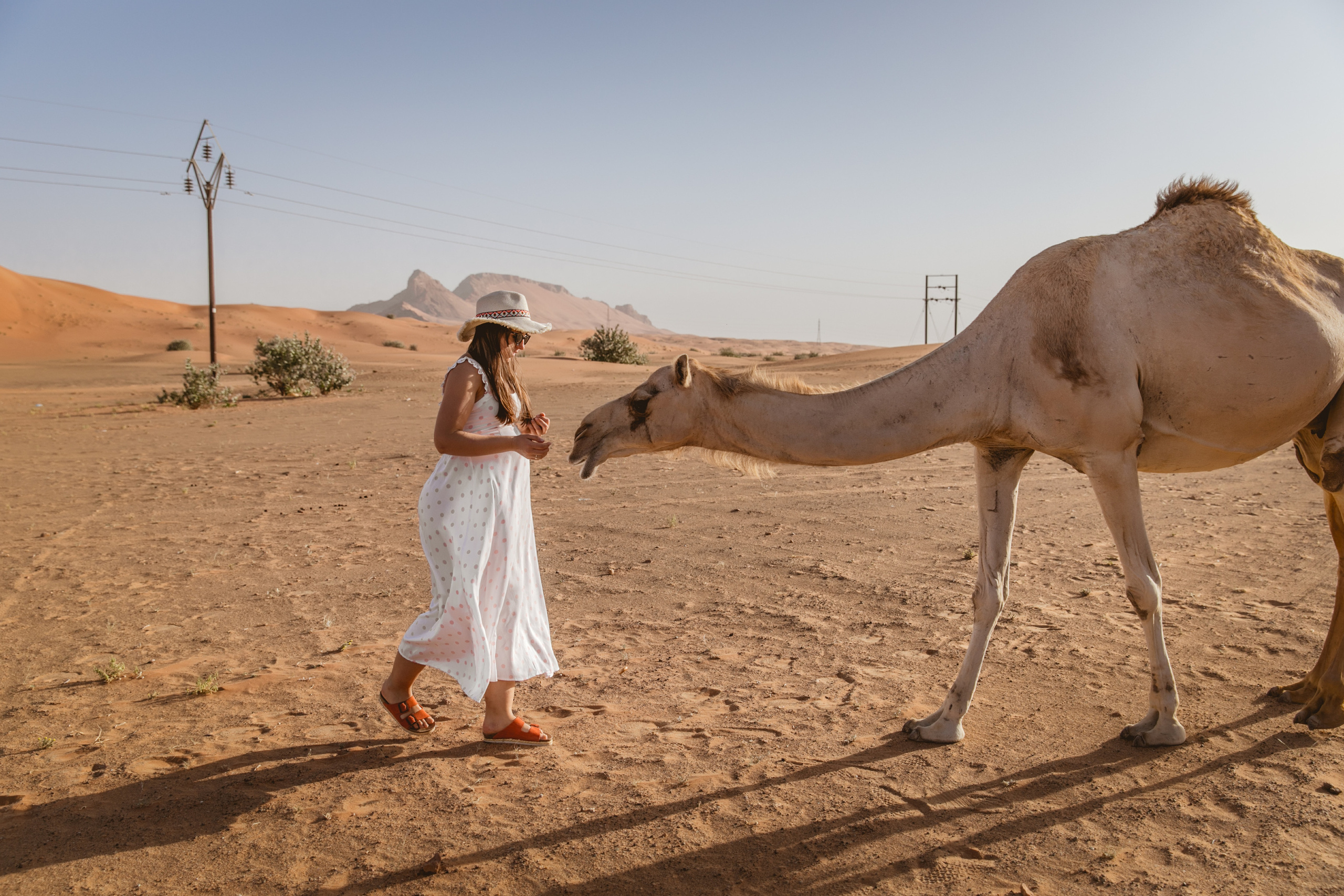 Ready for the journey, one step at a time. Портретний та весільний фотограф Надія Онода