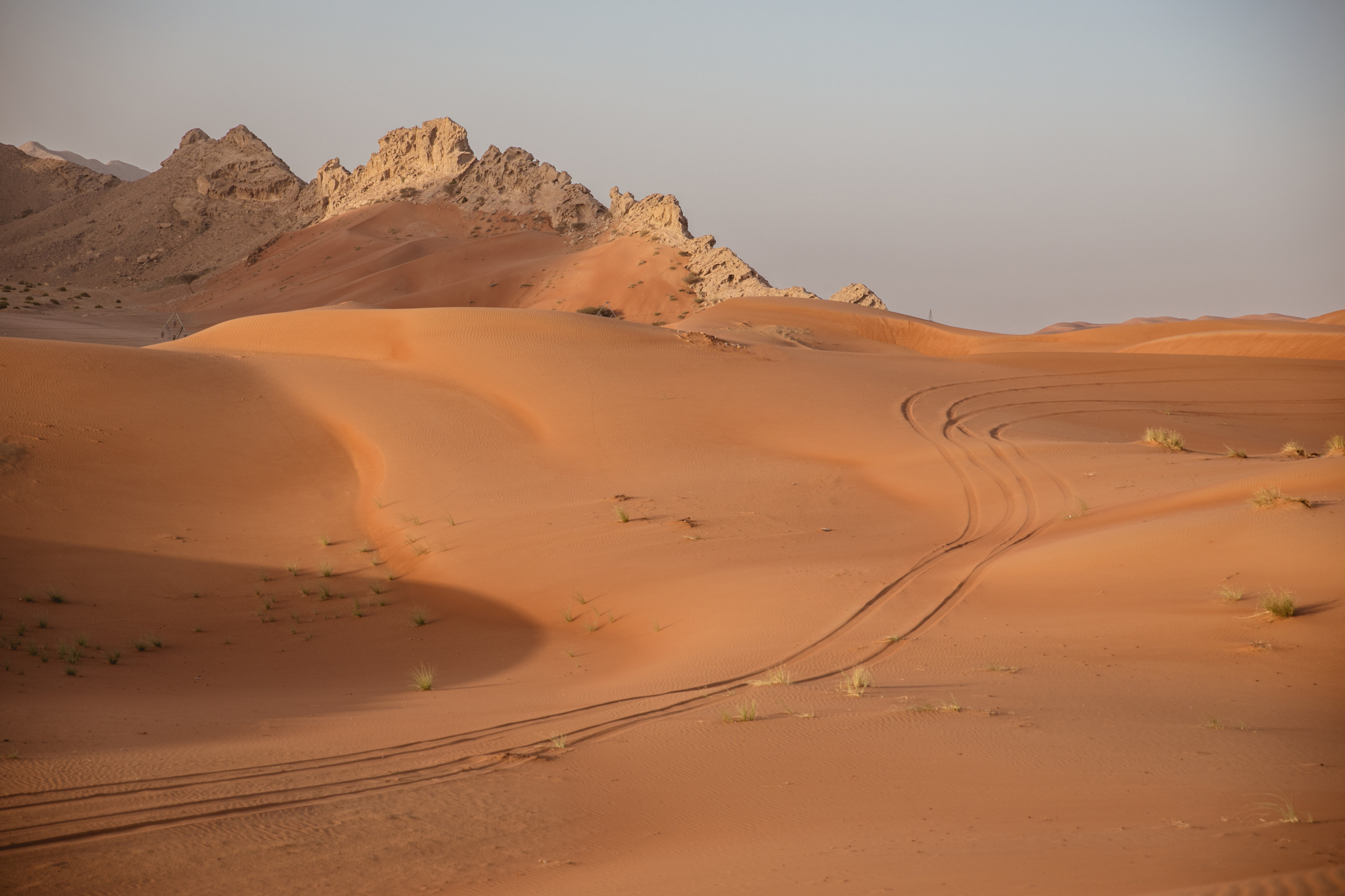 Ready for the journey, one step at a time. Портретний та весільний фотограф Надія Онода