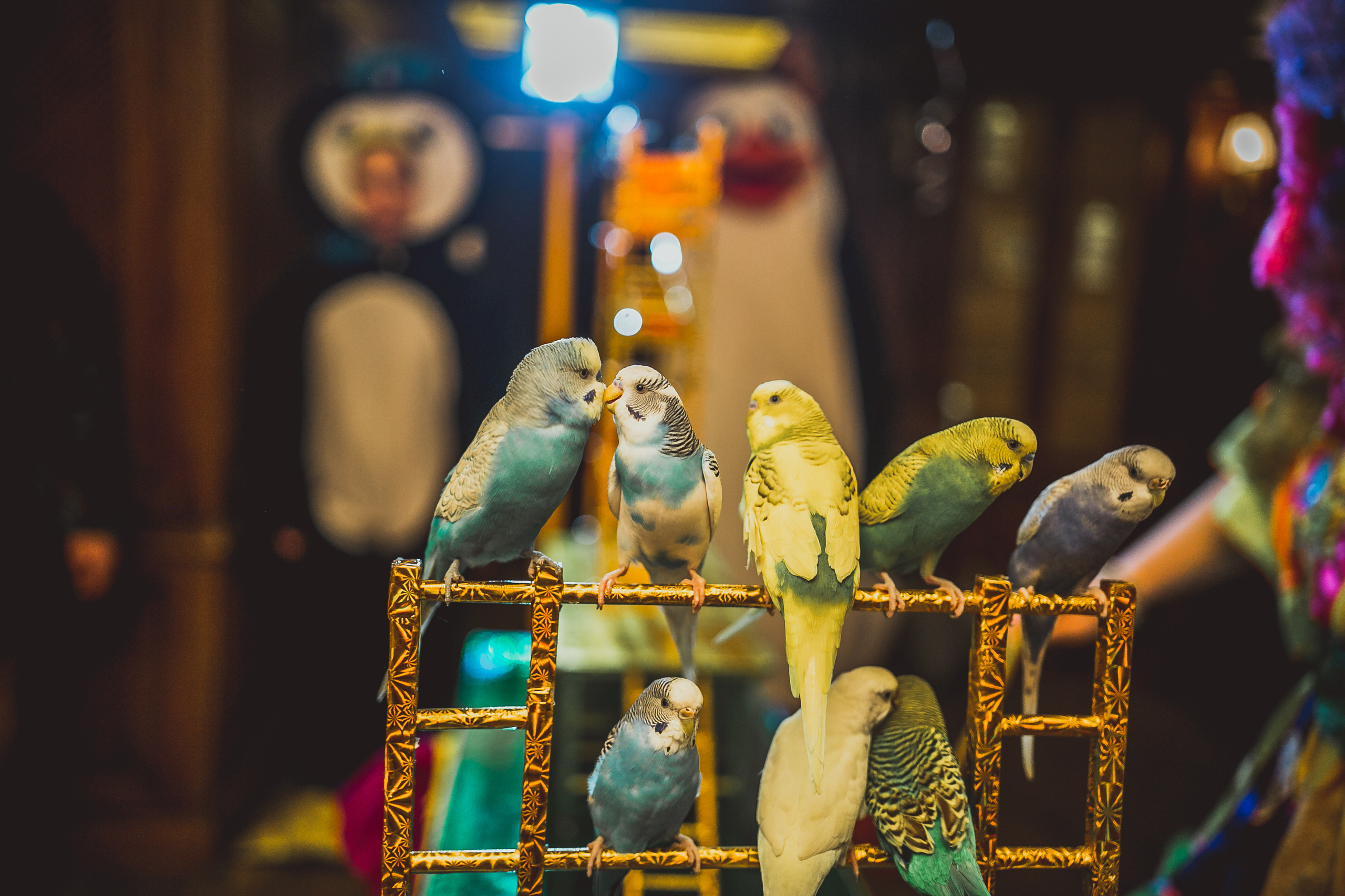 Pushkin Restaurant. Kids birthday. Photographer Vlad Boytsoff