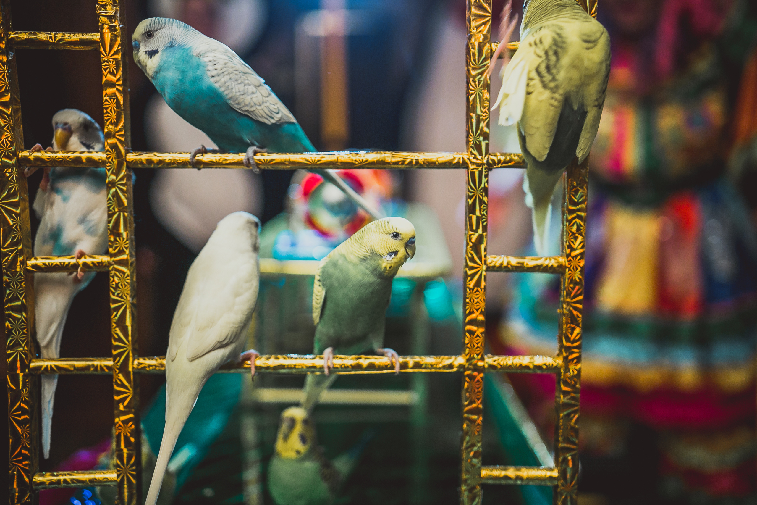 Pushkin Restaurant. Kids birthday. Photographer Vlad Boytsoff