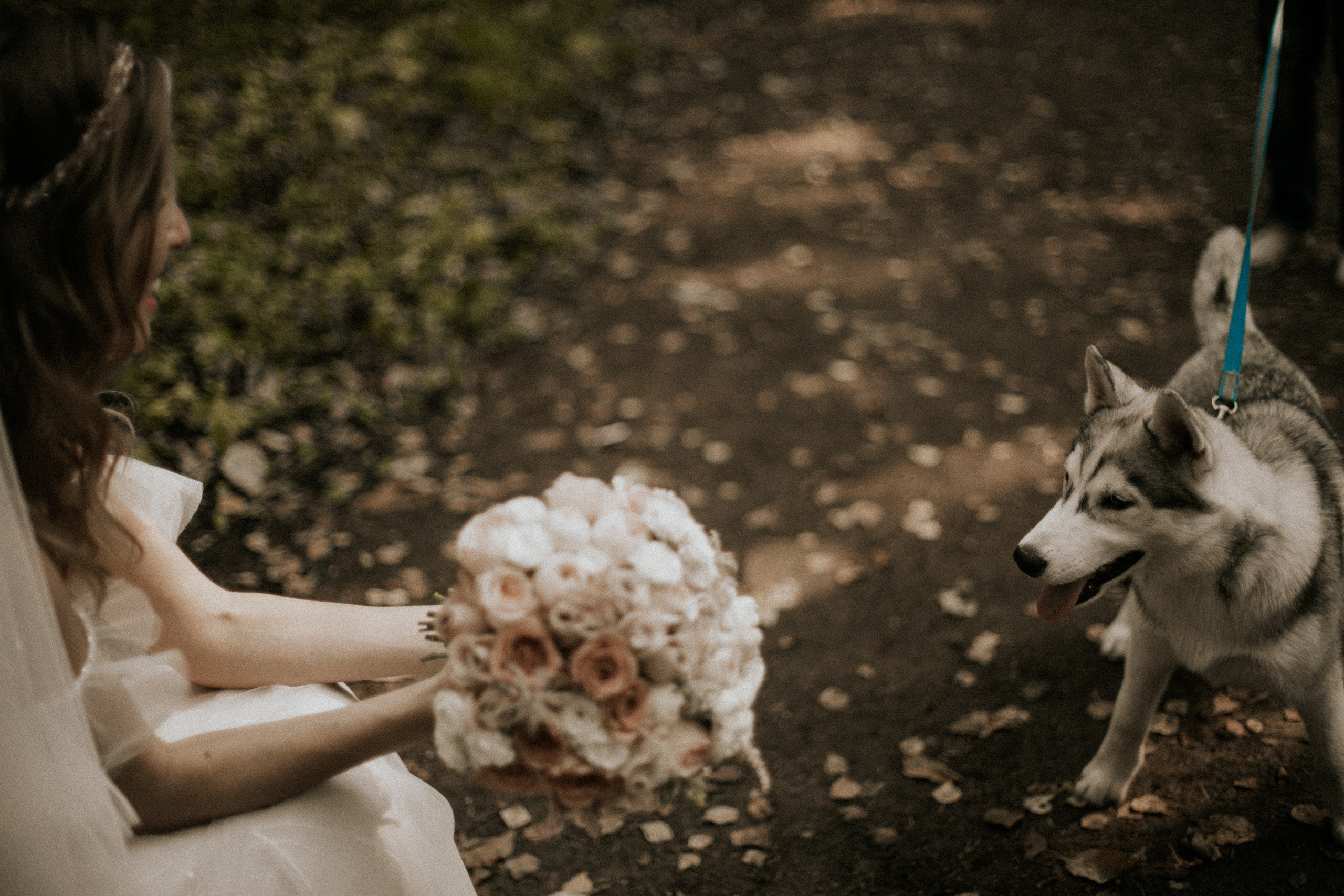 S & I. Photographer Vlad Boytsoff