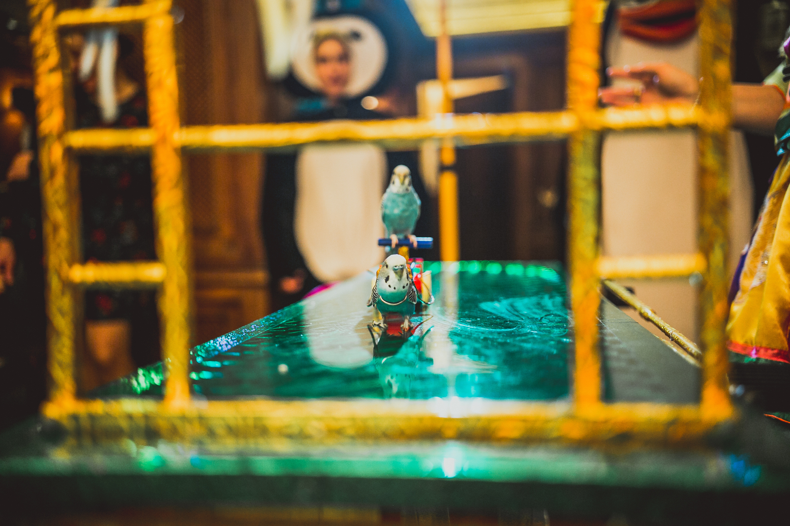 Pushkin Restaurant. Kids birthday. Photographer Vlad Boytsoff