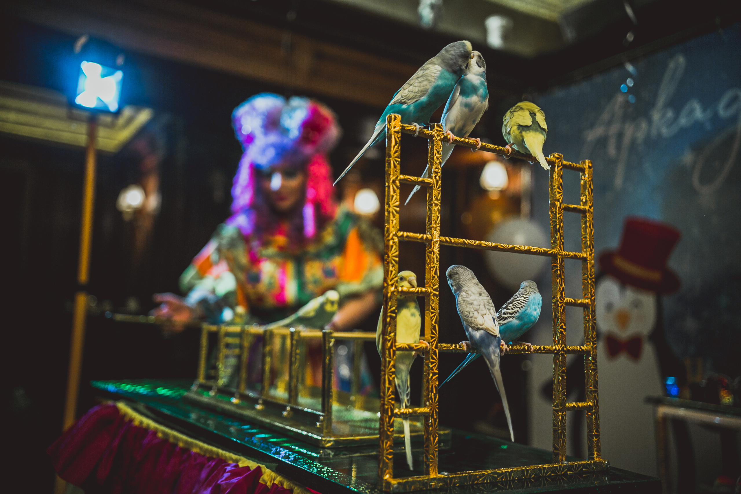 Pushkin Restaurant. Kids birthday. Photographer Vlad Boytsoff