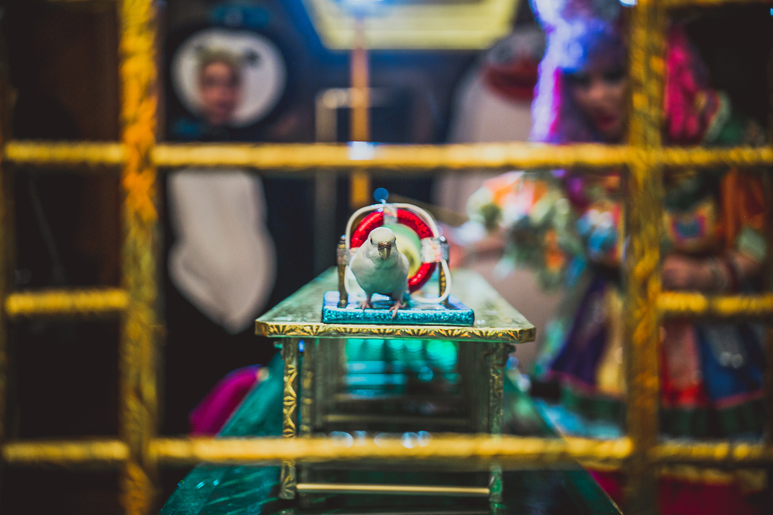 Pushkin Restaurant. Kids birthday. Photographer Vlad Boytsoff