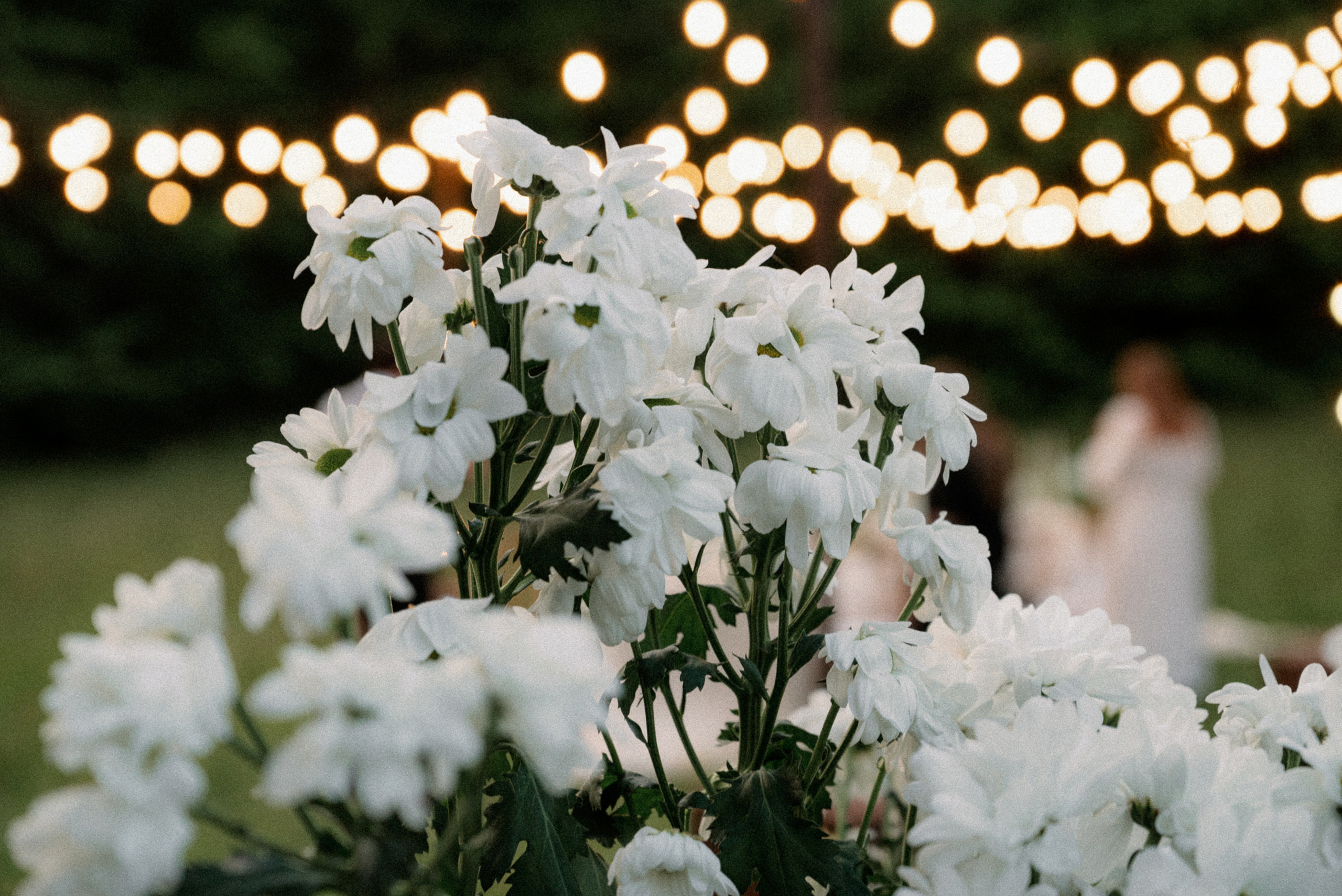 Polina & Michael. Bakasphoto wedding and lifestyle photography Latvia and Worldwide