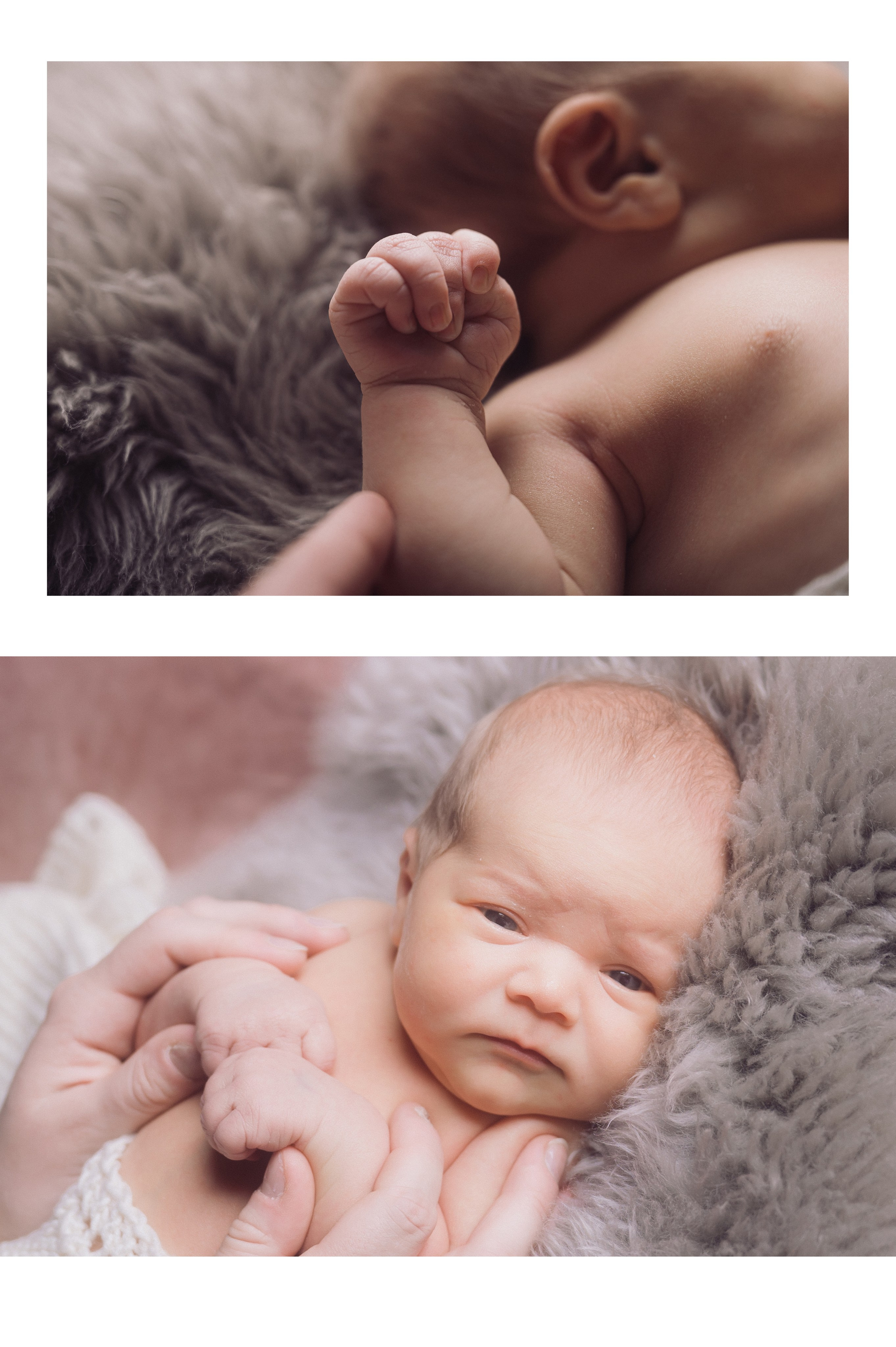 Barn- og familiefotografering. Din fotograf i Narvik kommune